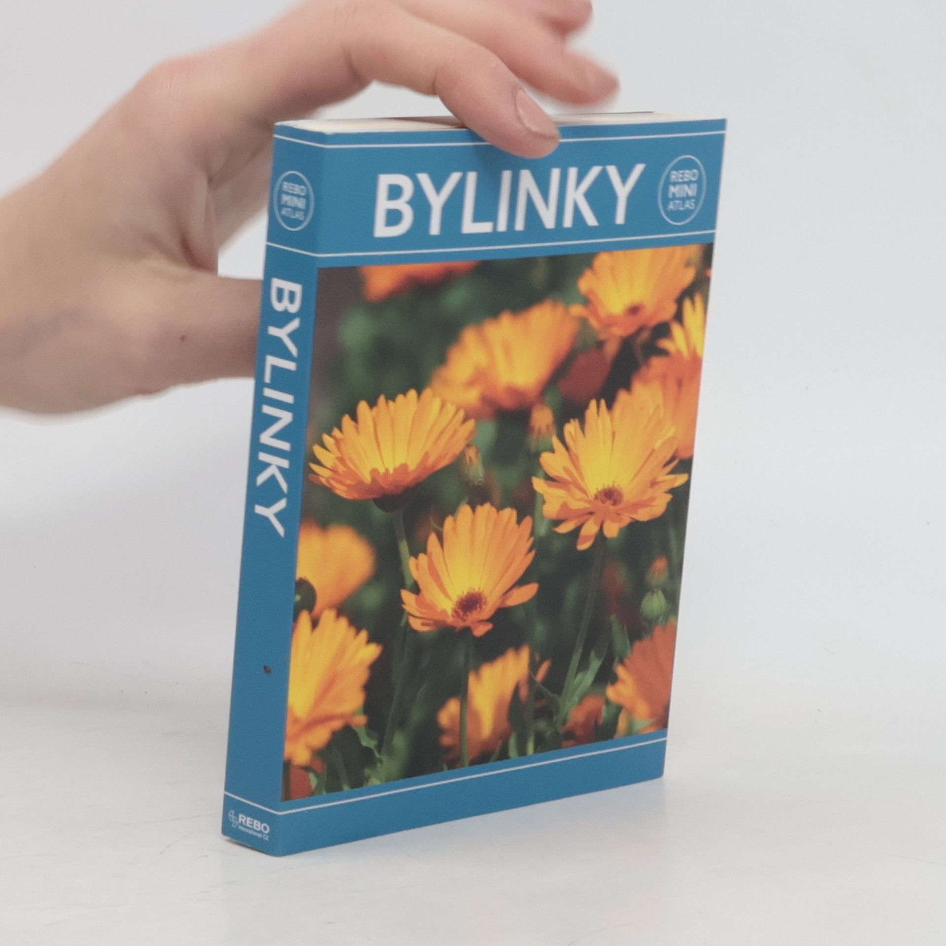 Hanneke van Dijk Bylinky