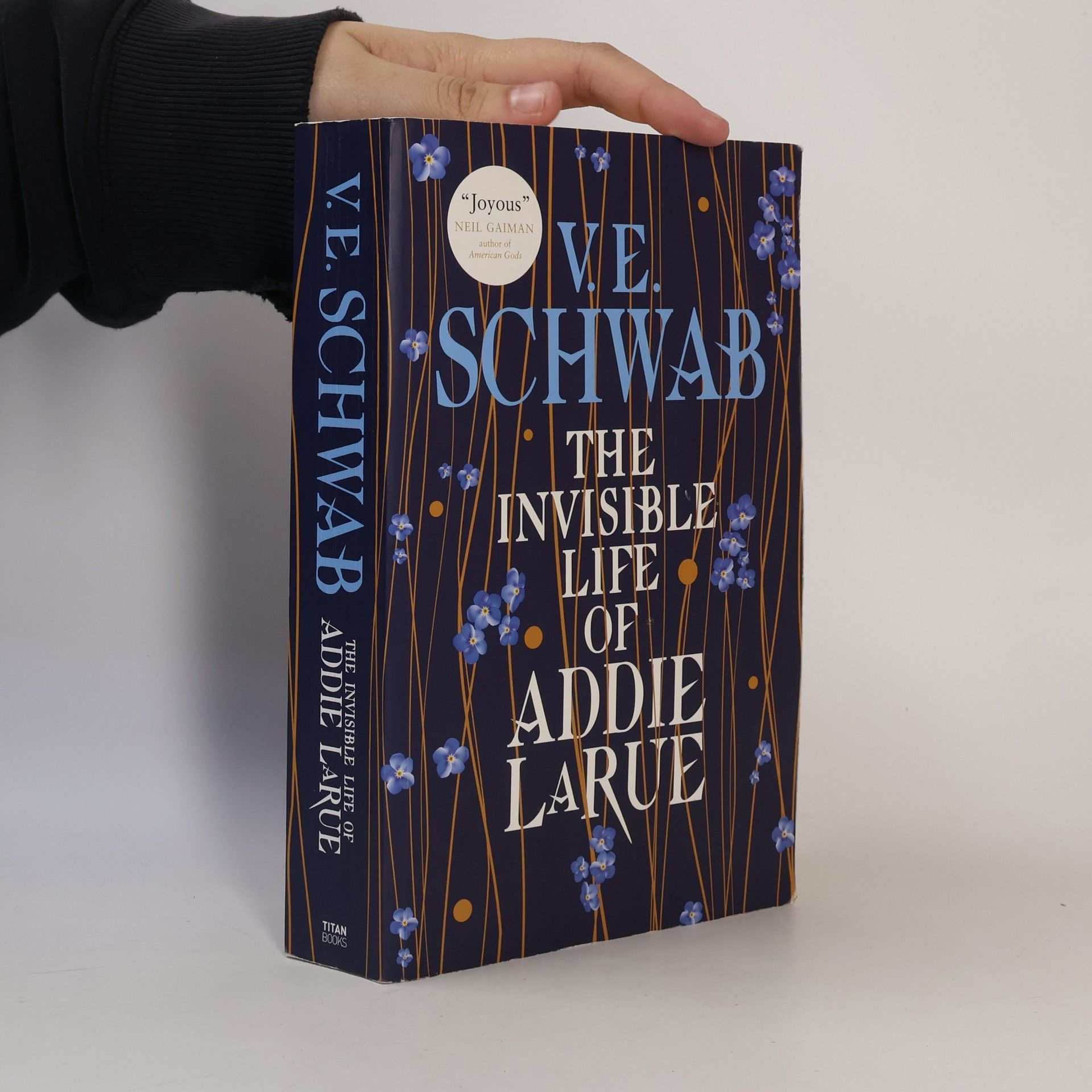Victoria Schwab The Invisible Life of Addie Larue