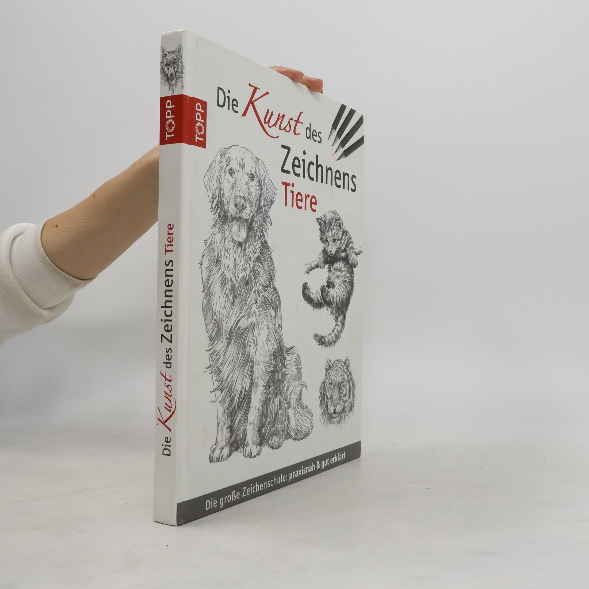 Autorenkollektiv Die Kunst des Zeichnens - Tiere