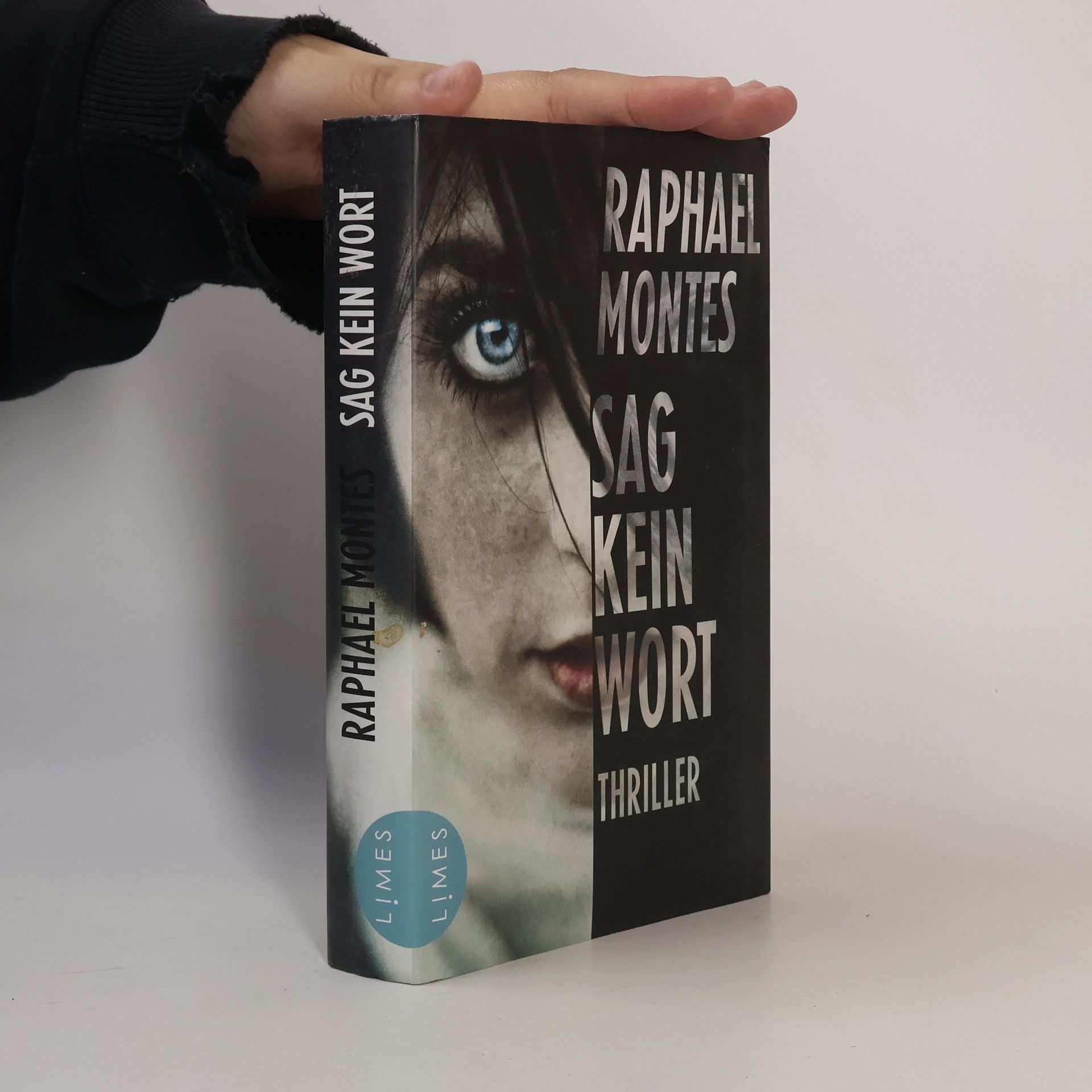 Raphael Montes Sag kein Wort