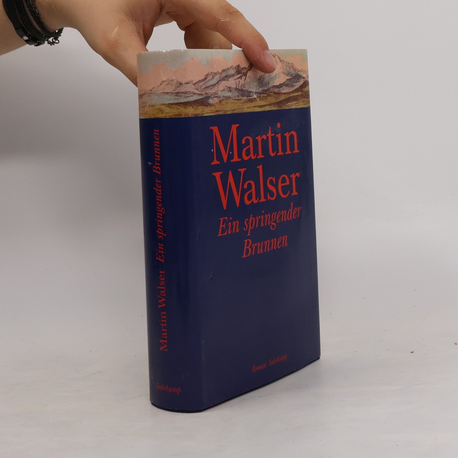 Martin Walser Ein springender Brunnen