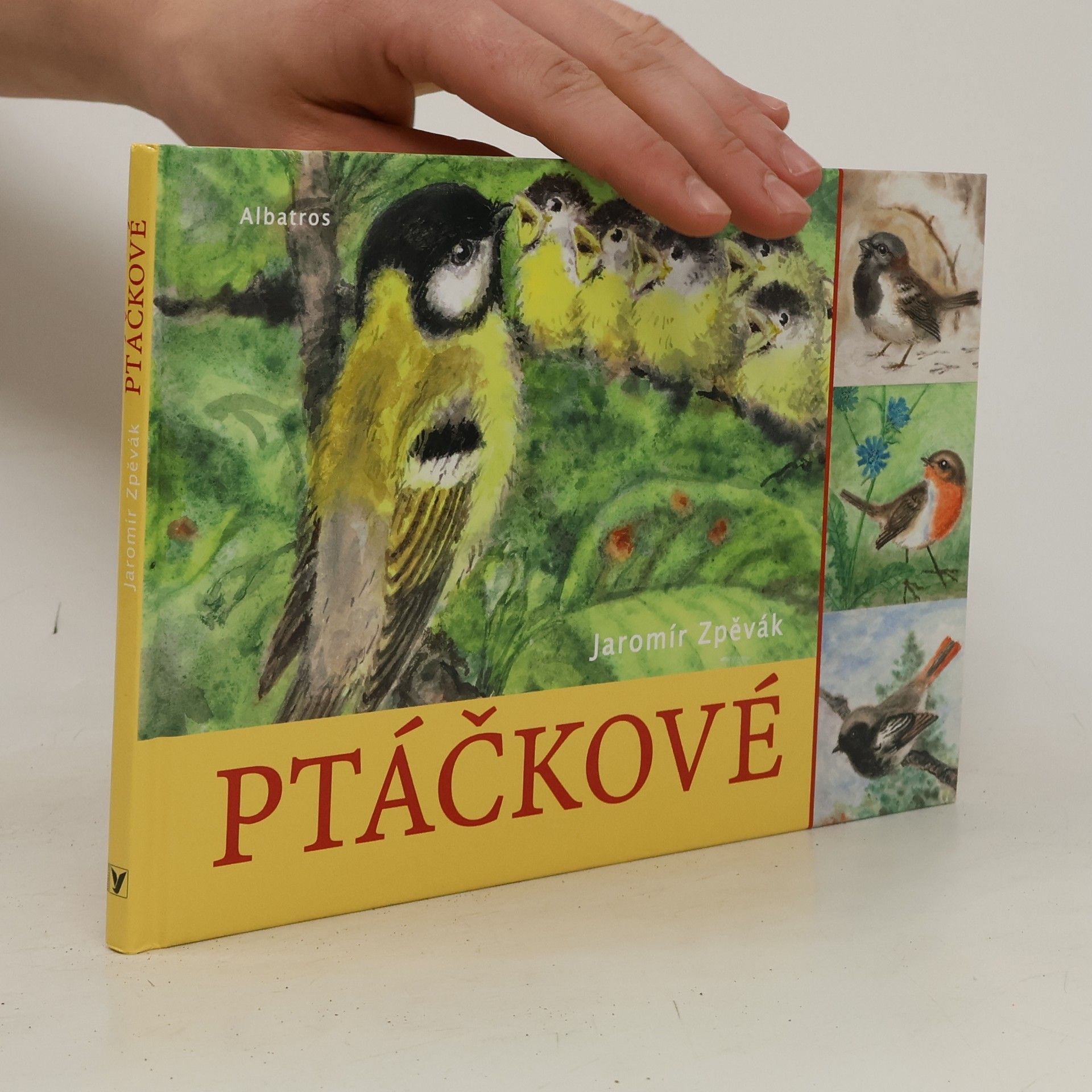 Jaromír Zpěvák Ptáčkové
