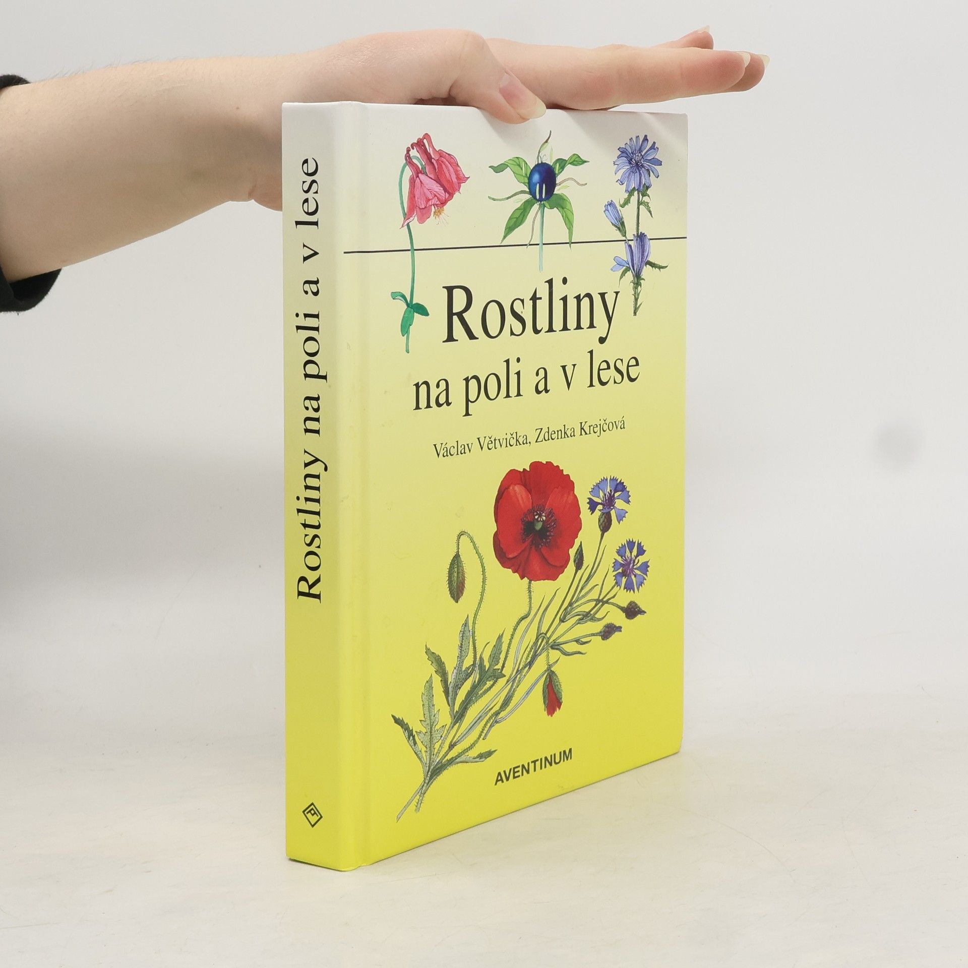 Rostliny na poli a v lese