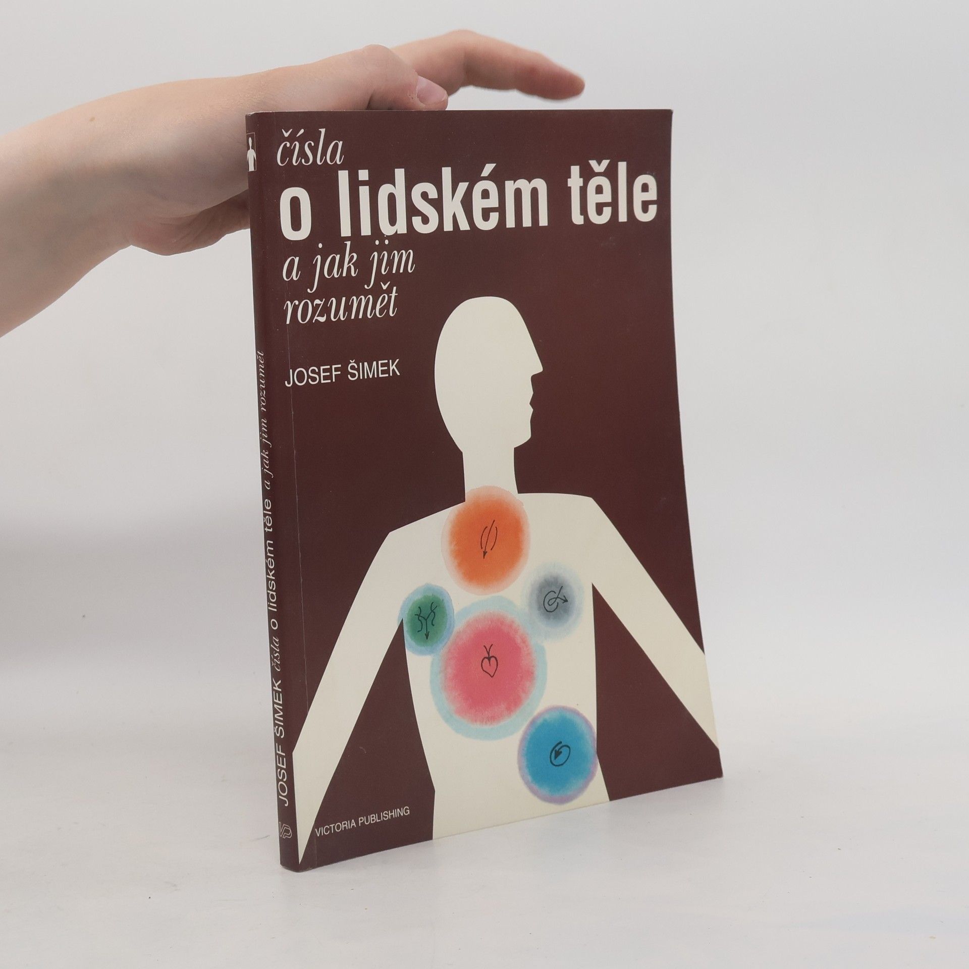 Čísla o lidském těle a jak jim rozumět