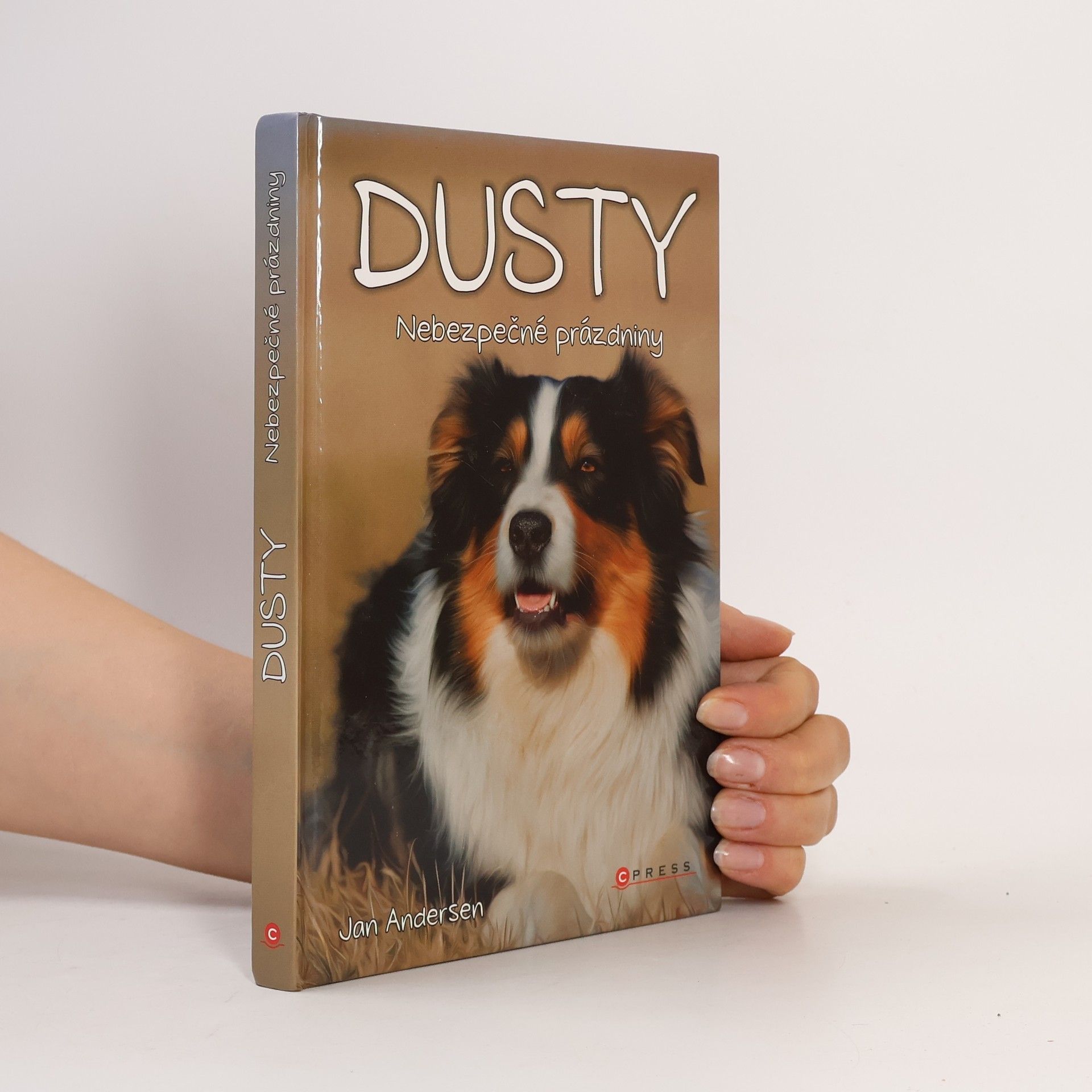Wolfram Hänel Dusty: Nebezpečné prázdniny