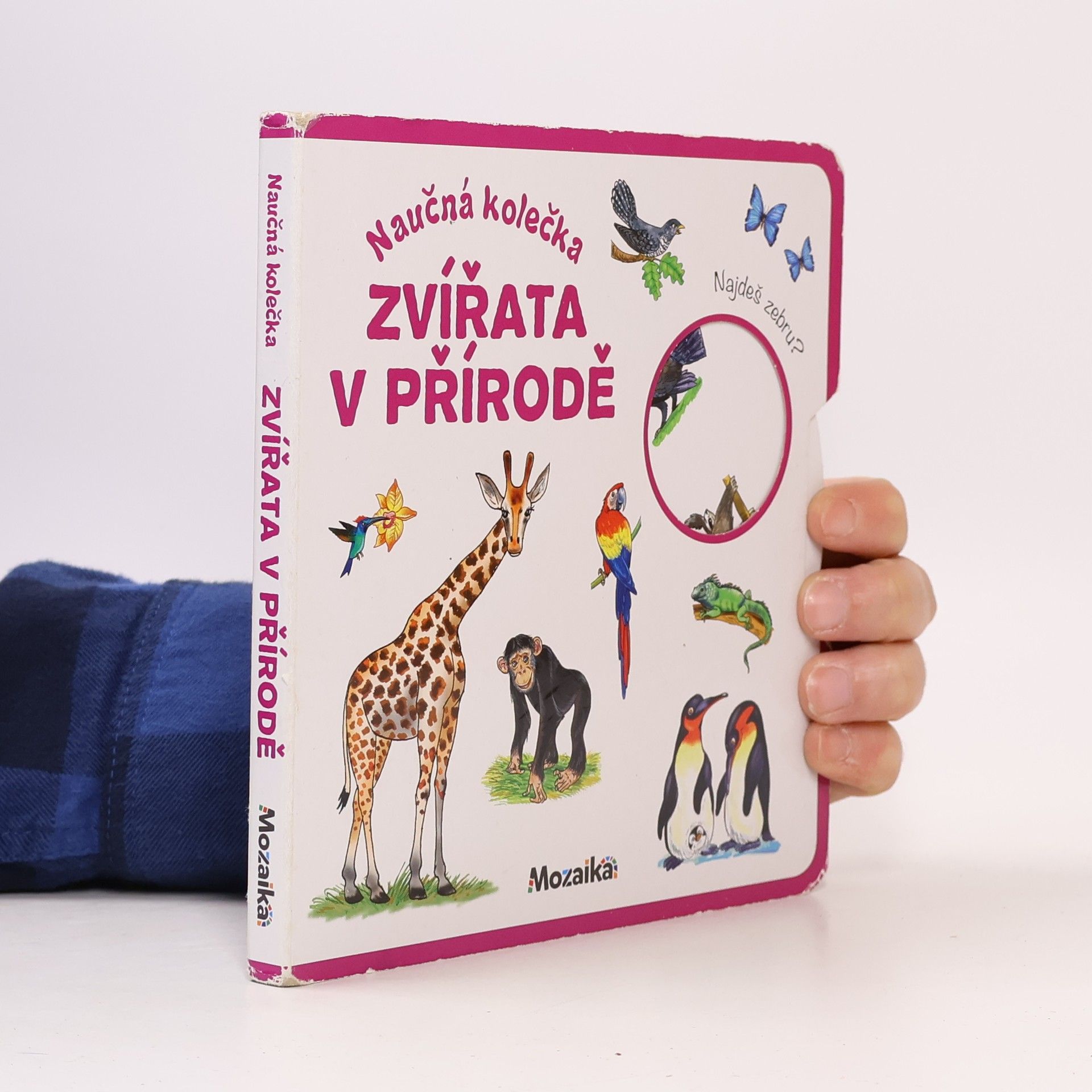 Antonín Šplíchal Naučná kolečka: Zvířata v přírodě