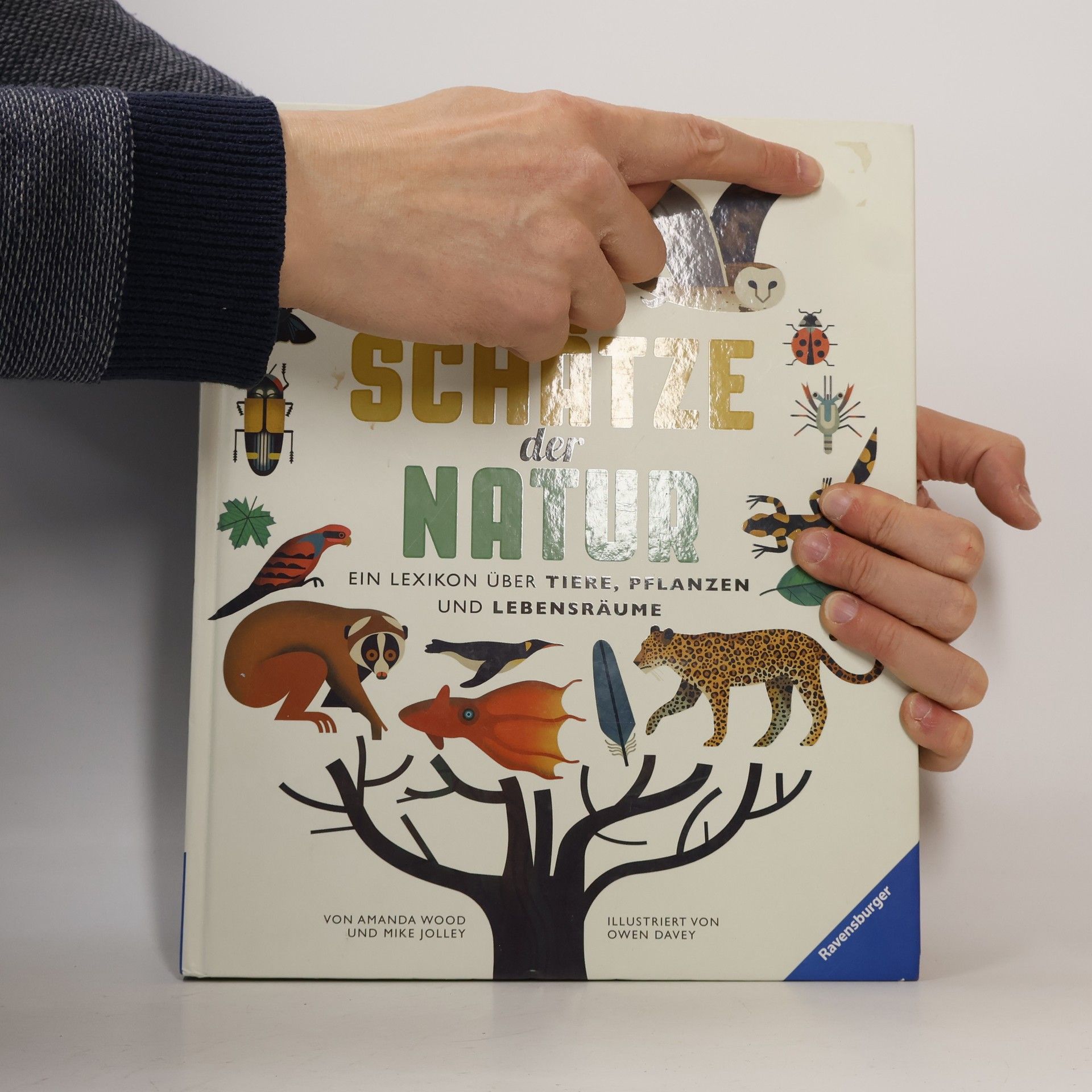 Amanda J. Wood Schätze der Natur
