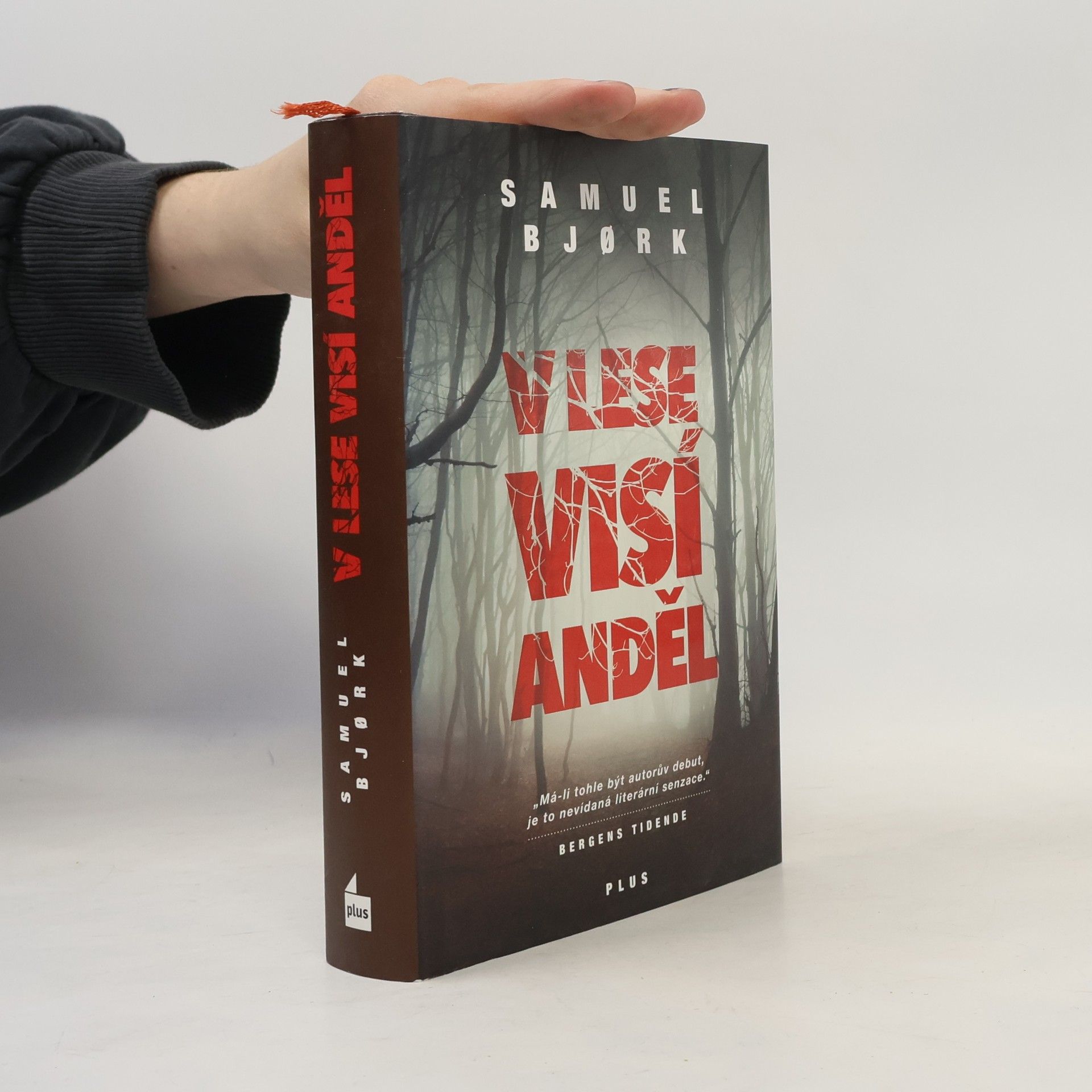 Samuel Bjork V lese visí anděl