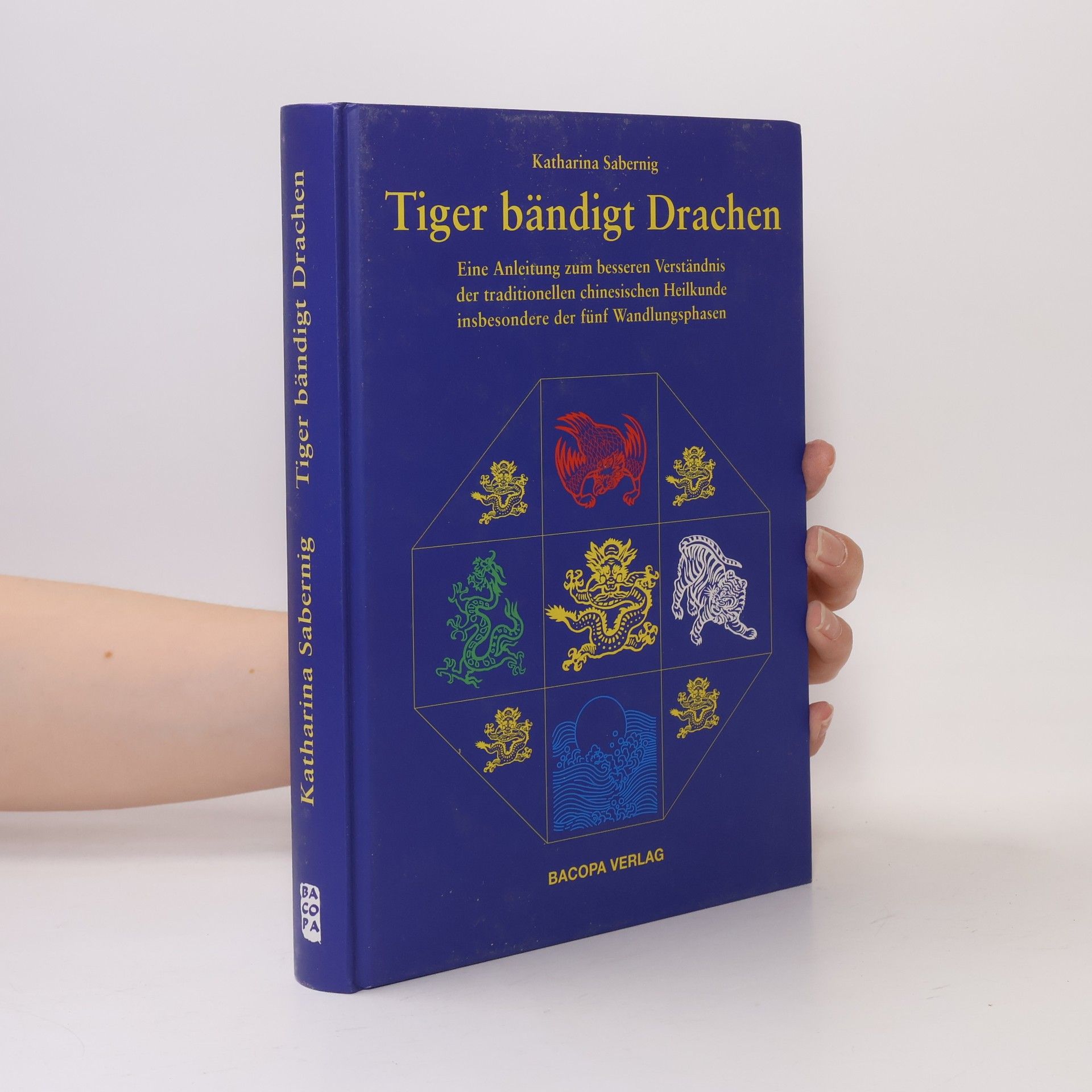 Katharina Sabernig Tiger bändigt Drachen