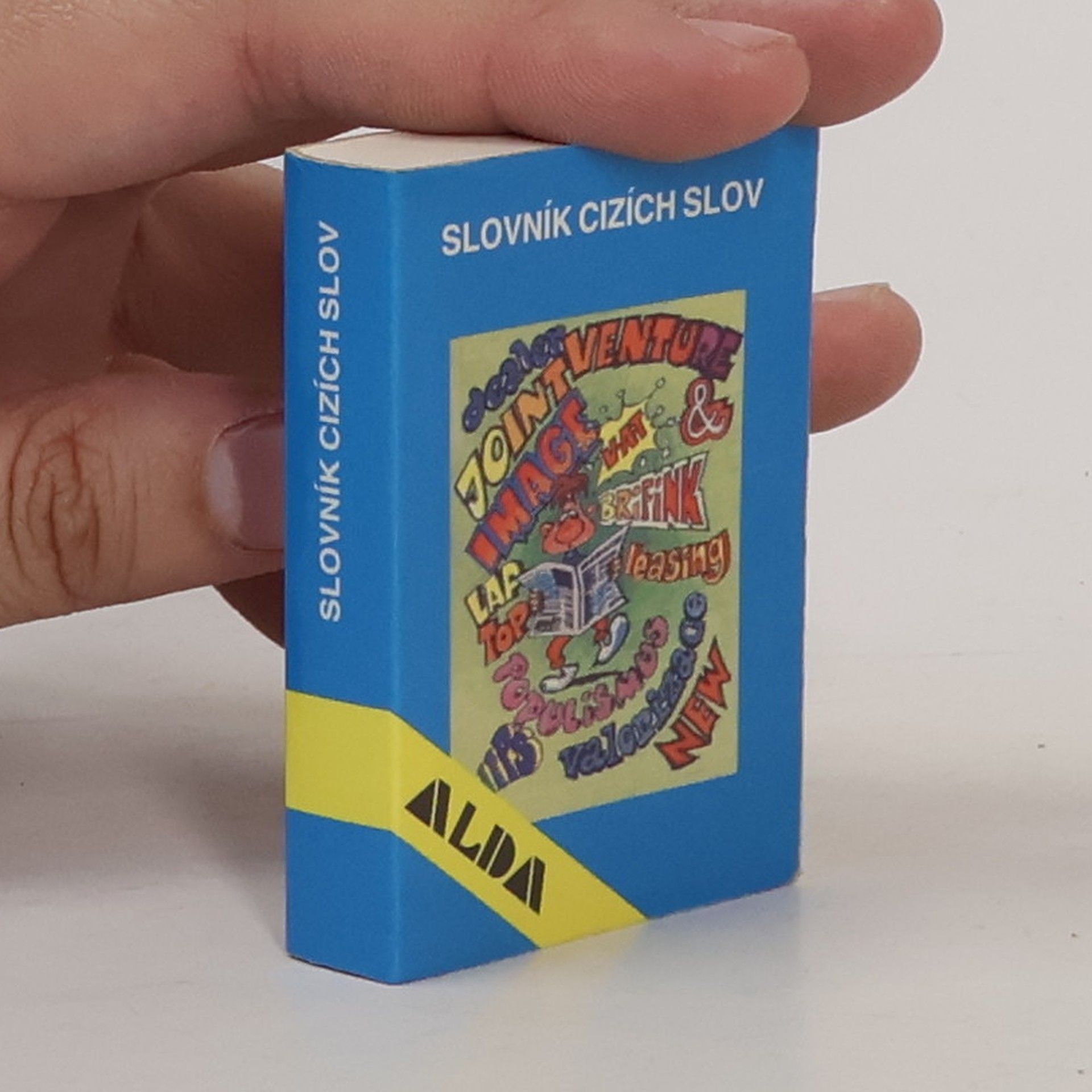 Kolektiv autorů Slovník cizích slov