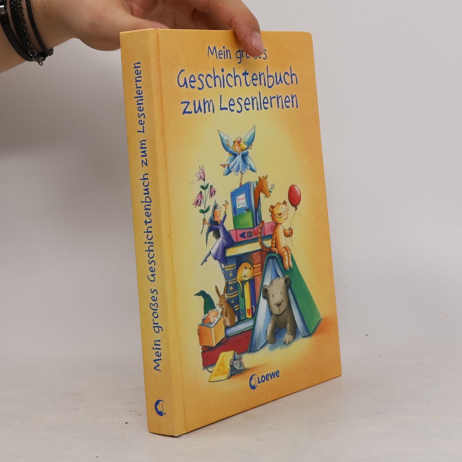Various authors Mein großes Geschichtenbuch zum Lesenlernen