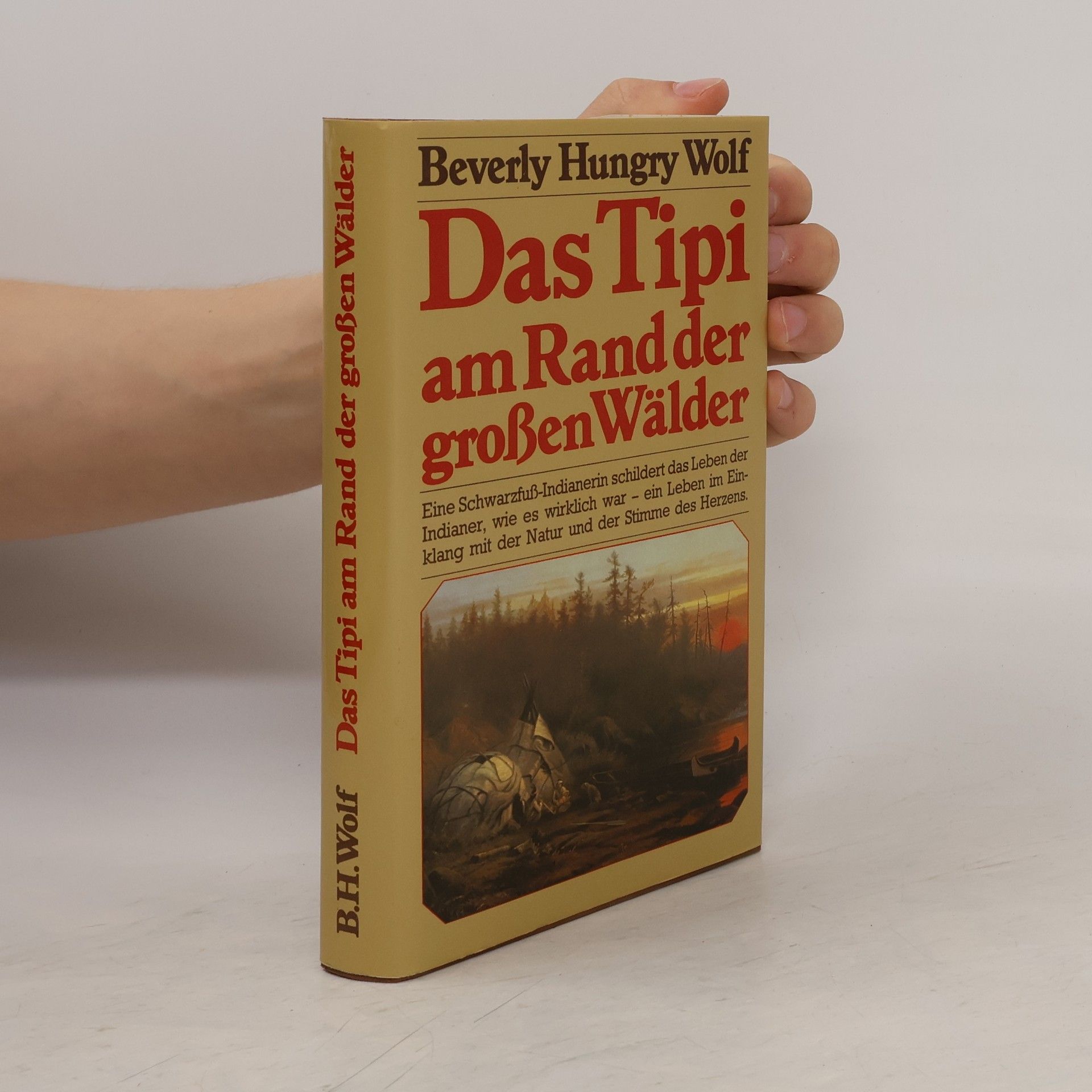 Das Tipi am Rand der großen Wälder