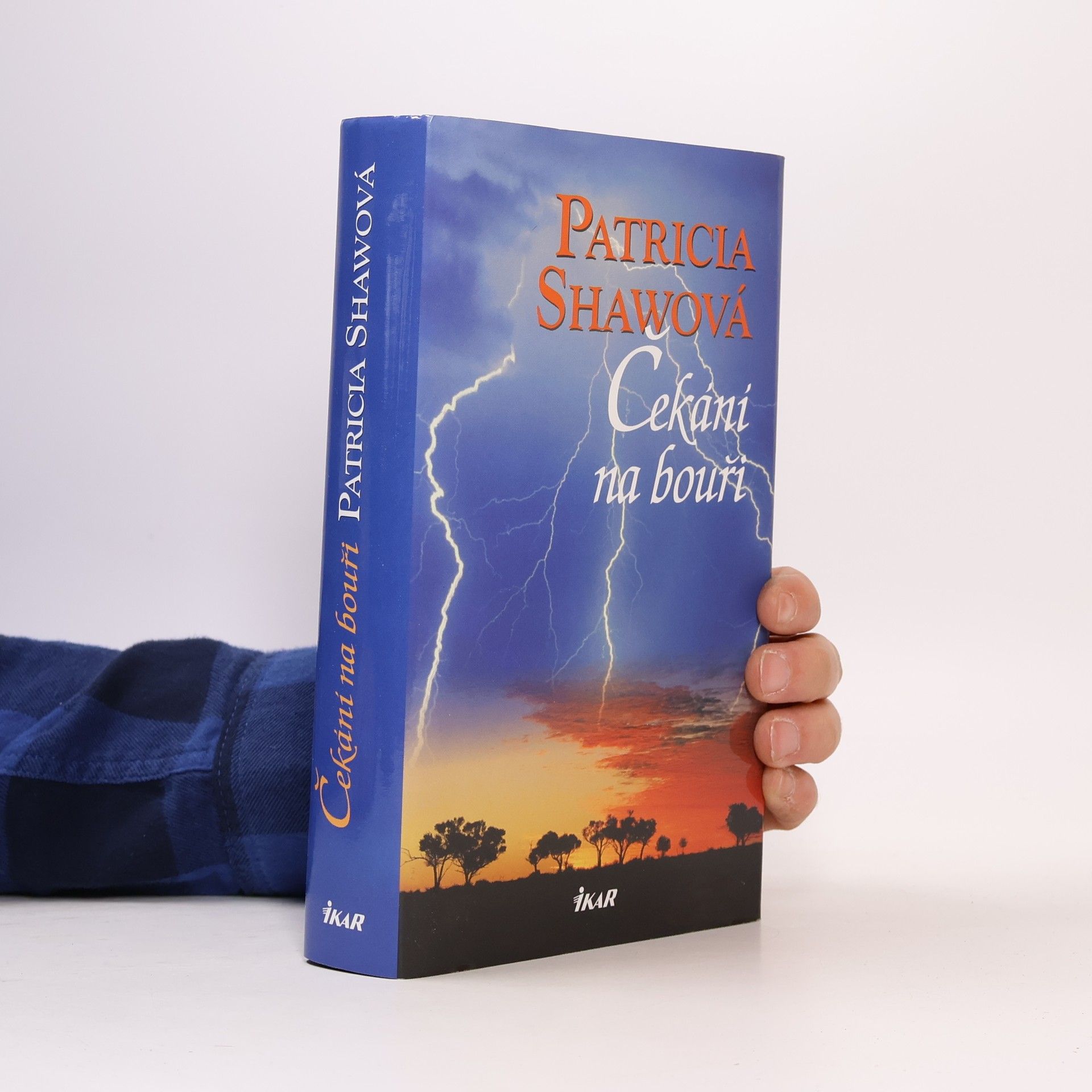 Patricia Shaw Čekání na bouři