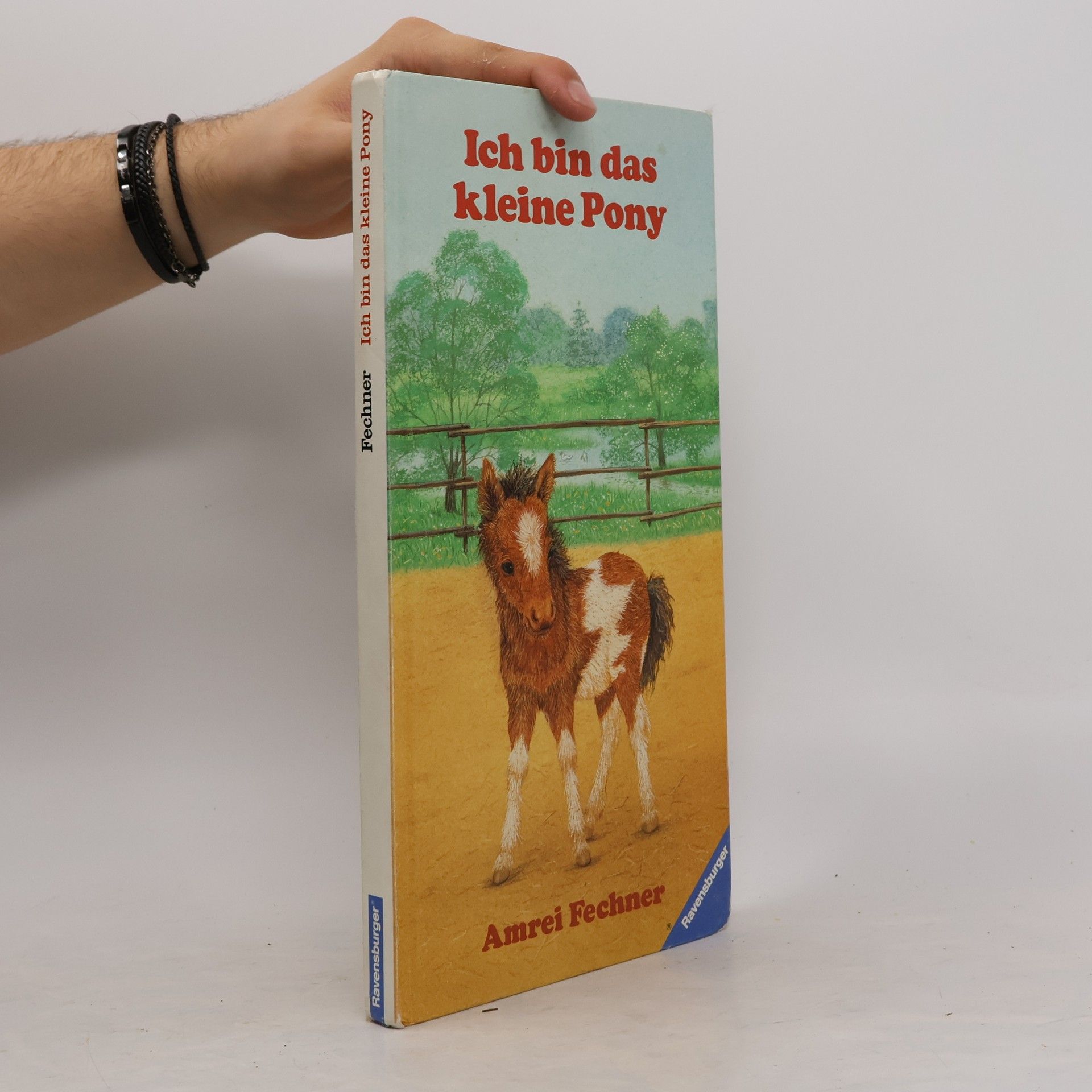 Amrei Fechner Ich bin das kleine Pony