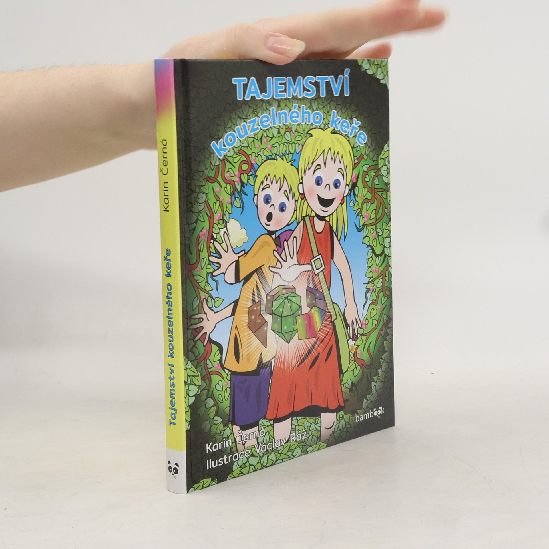 Karin Černá Tajemství kouzelného keře