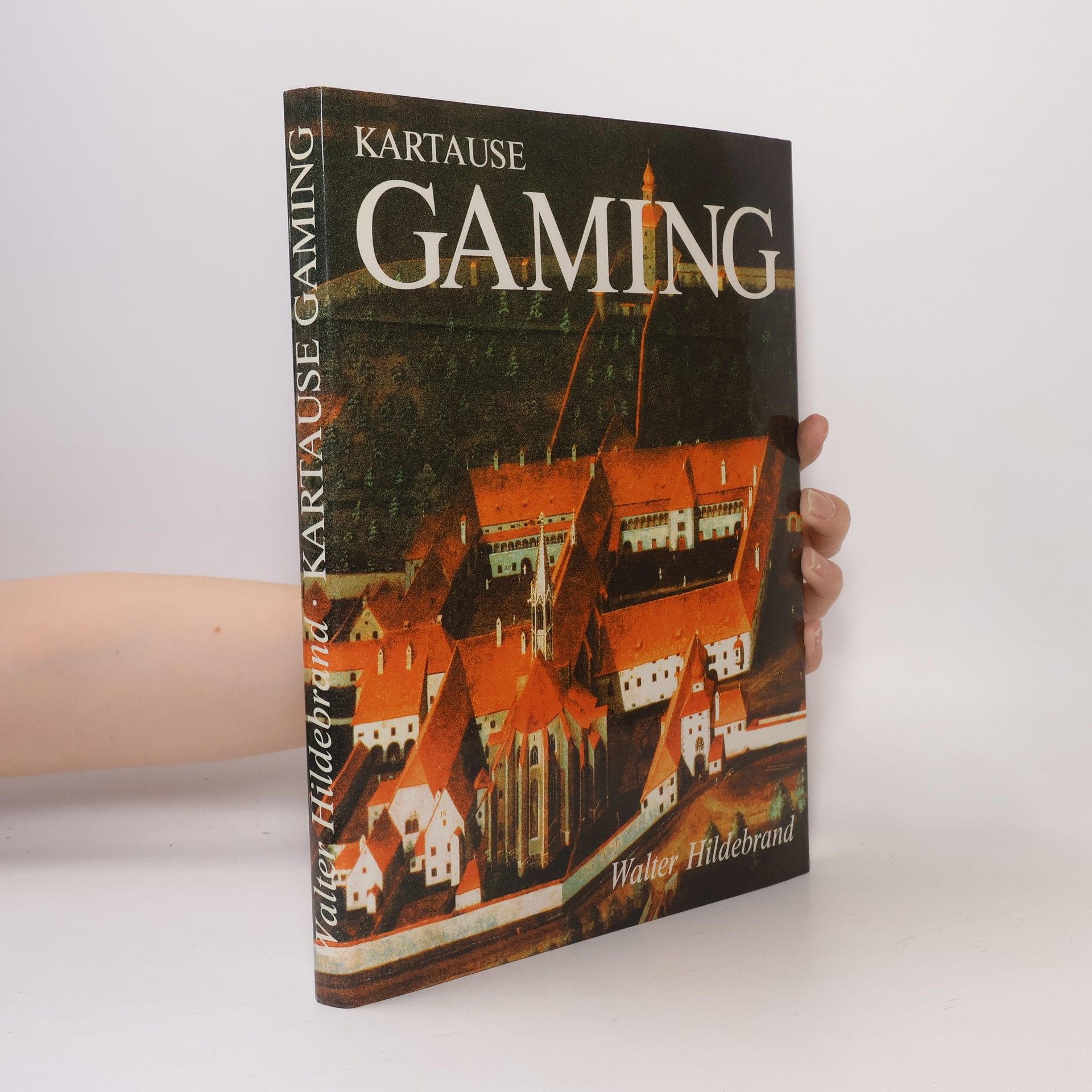 Walter Hildebrand Kartause Gaming : die umweltfreundliche gotische Stadt