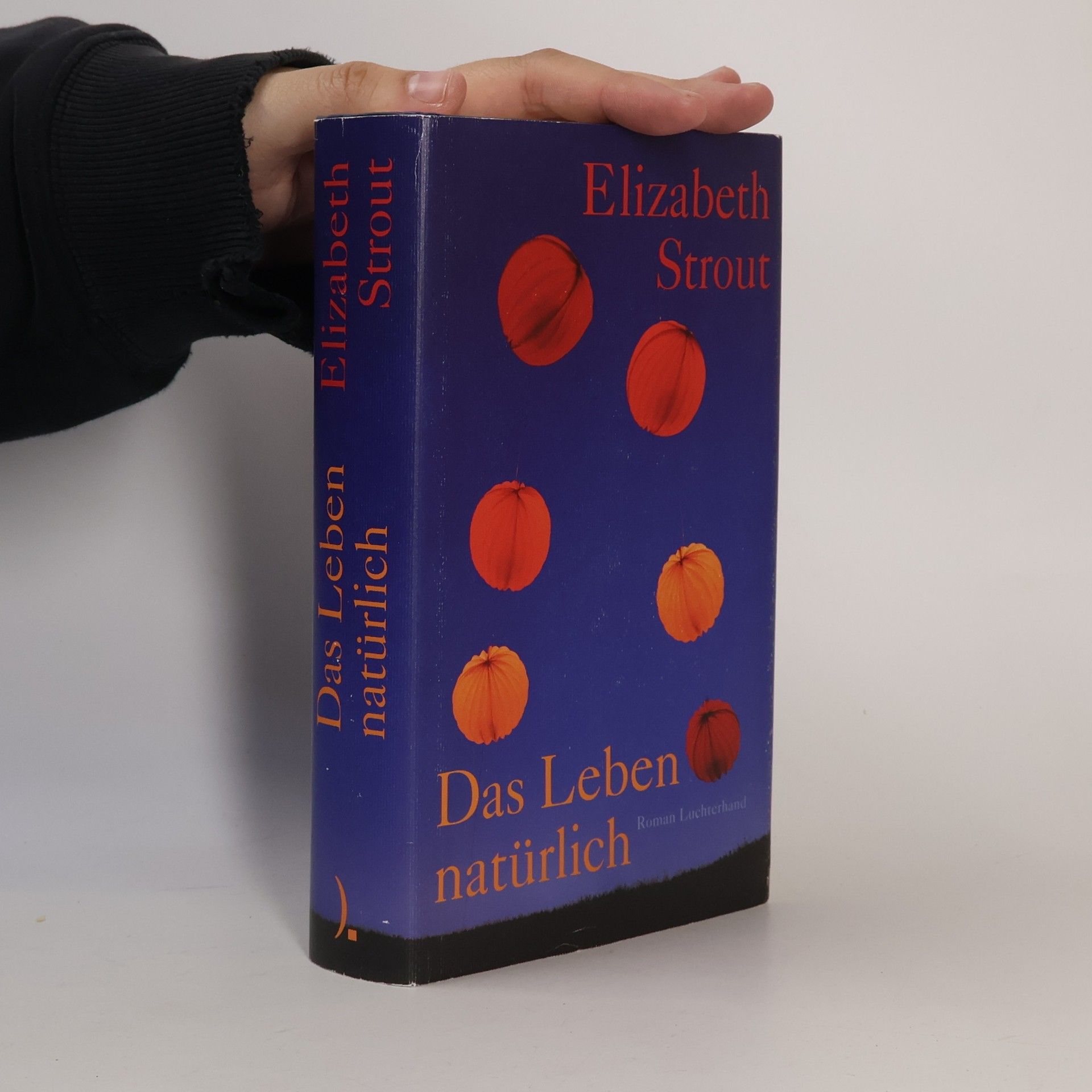 Elizabeth Strout Das Leben, natürlich