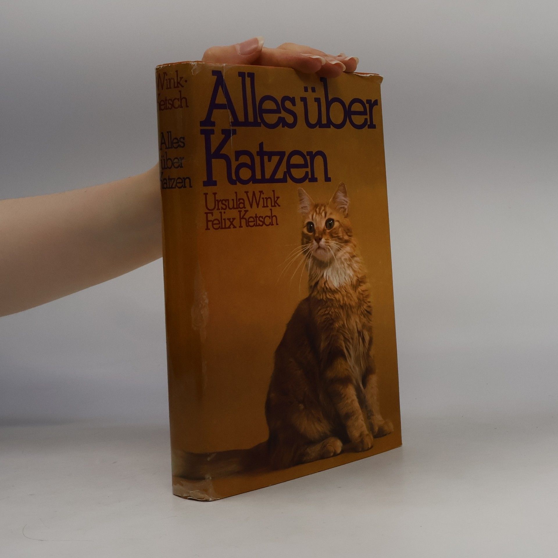 Felix Ketsch Alles über Katzen