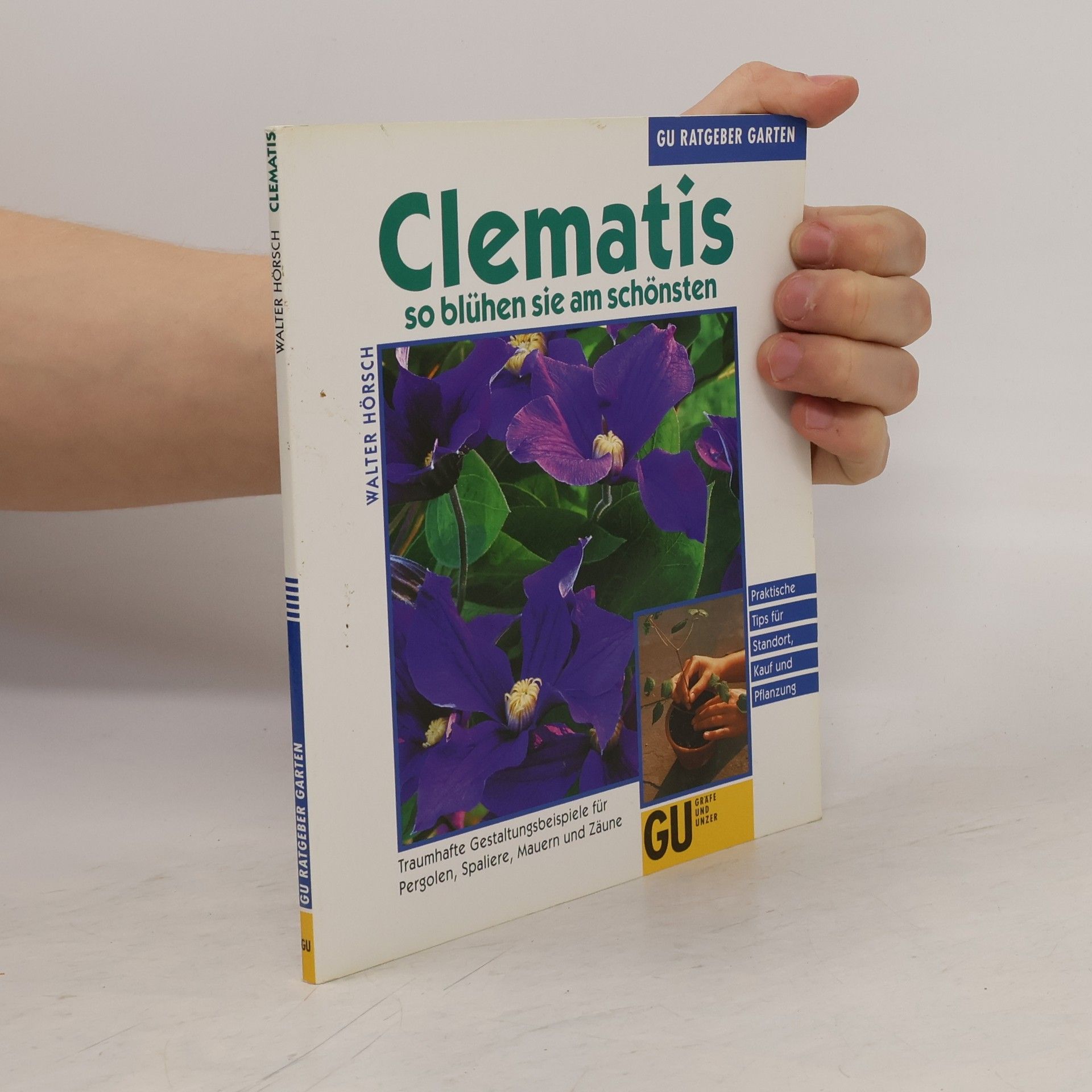 Walter Hörsch Clematis so blühen sie am schönsten