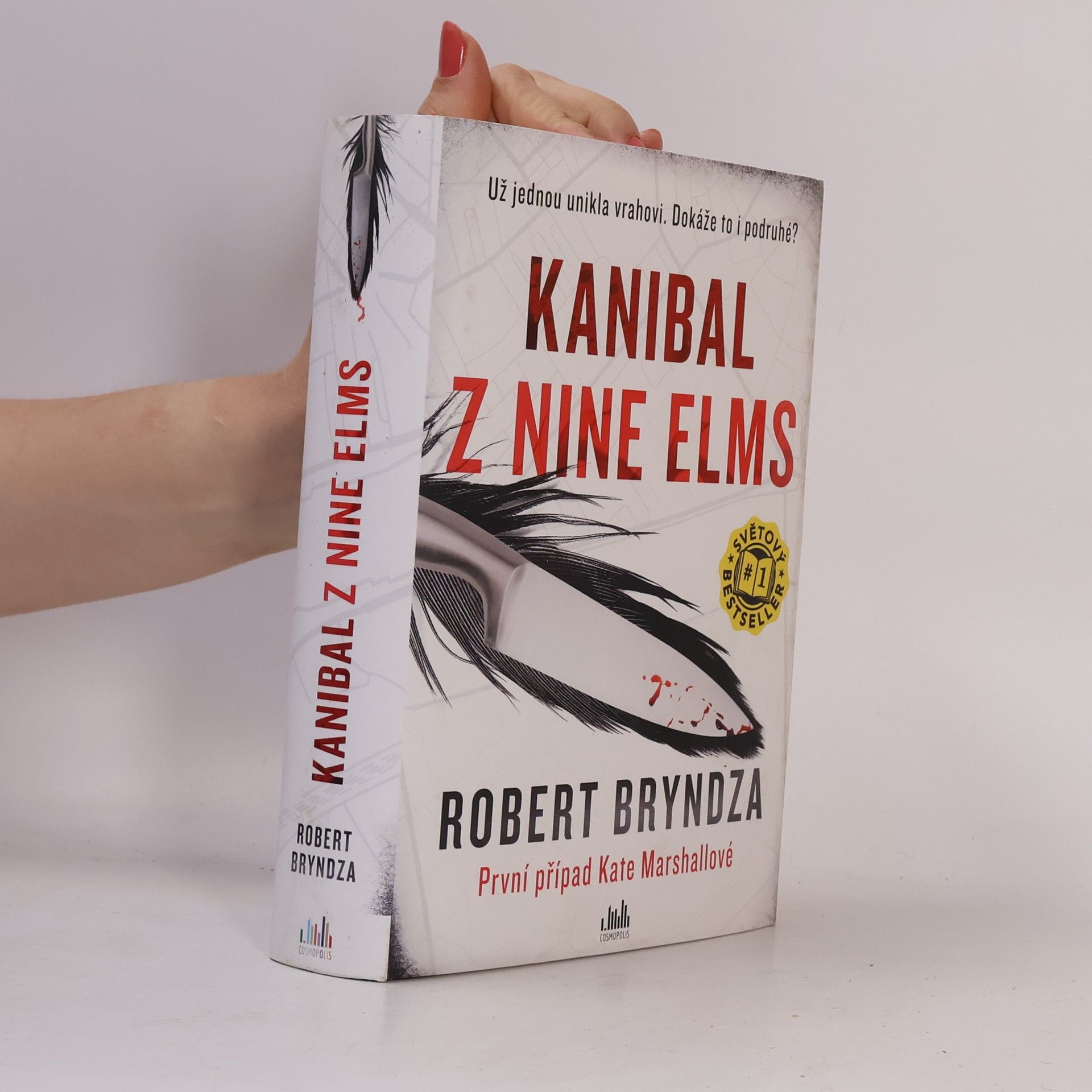 Robert Bryndza Kanibal z Nine Elms