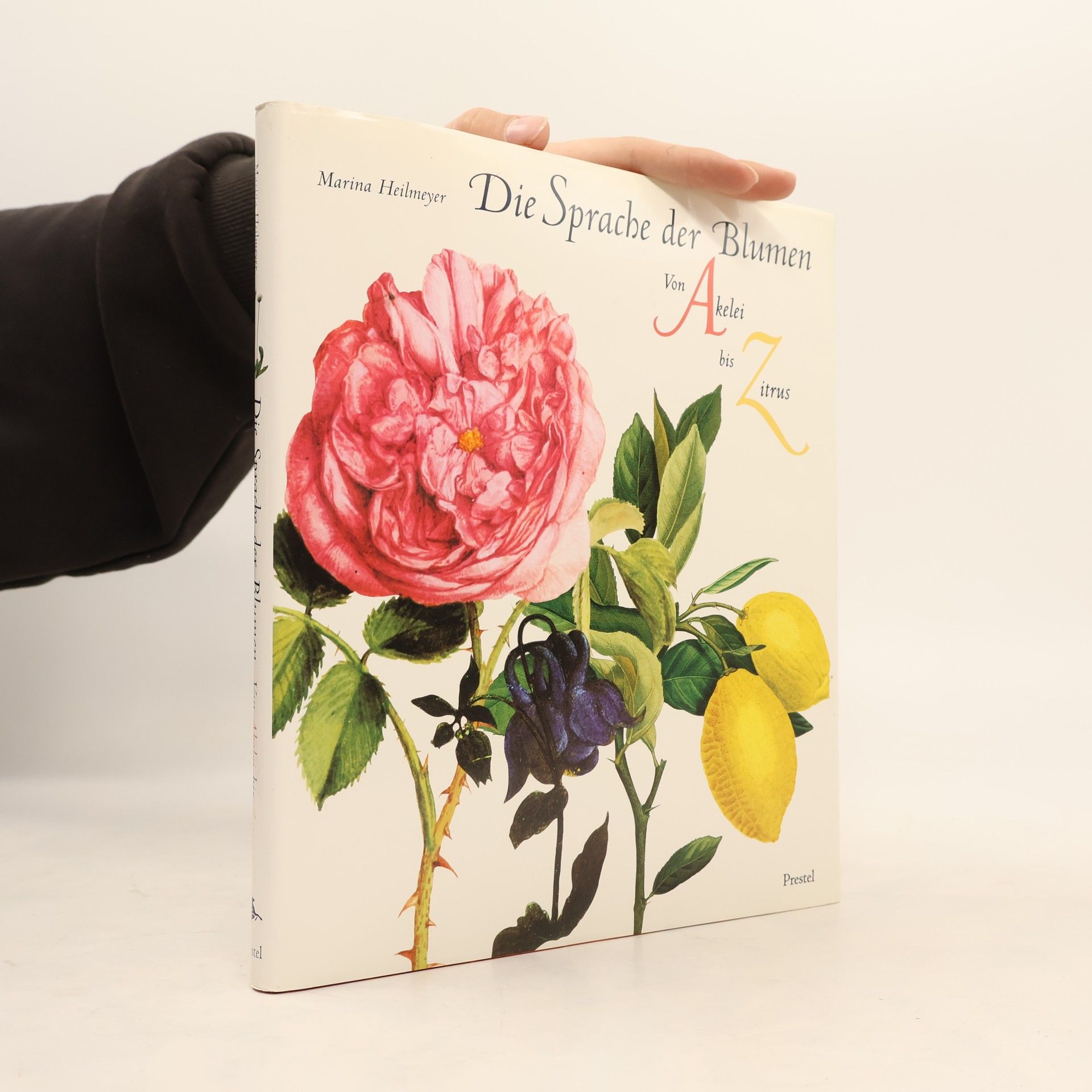 Marina Heilmeyer Die Sprache der Blumen