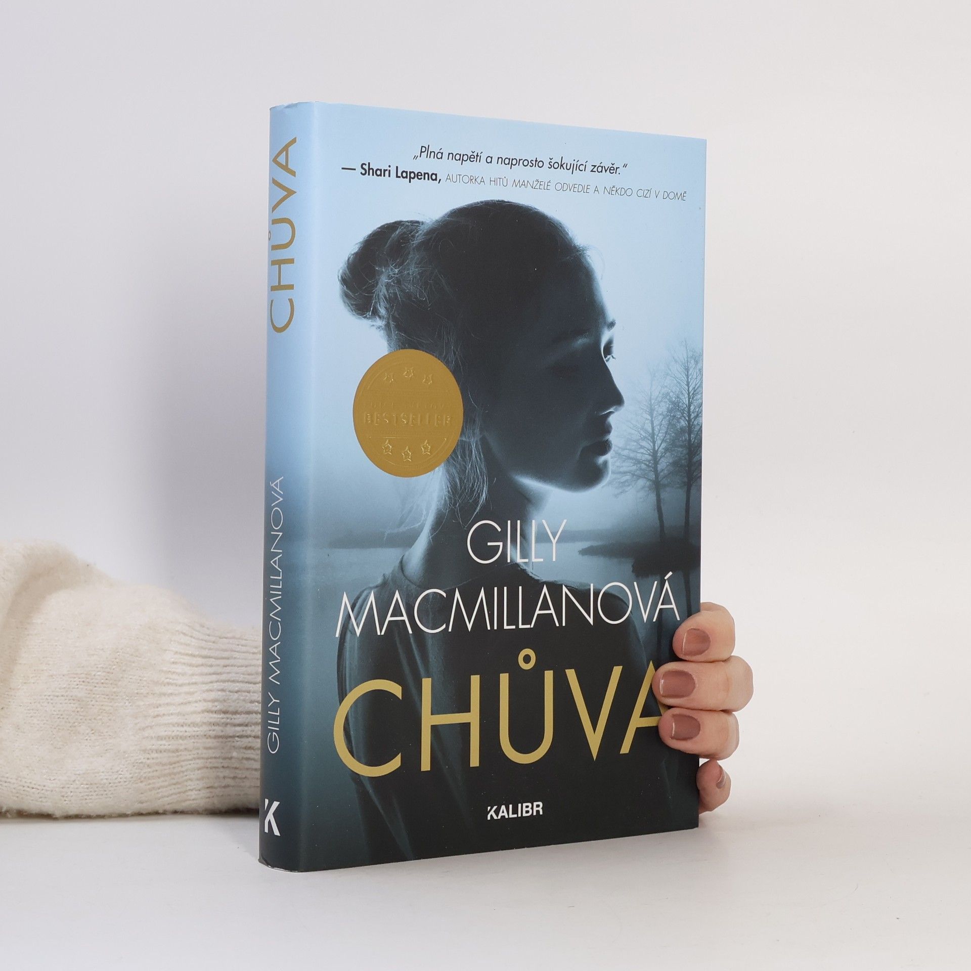 Gilly Macmillan Chůva