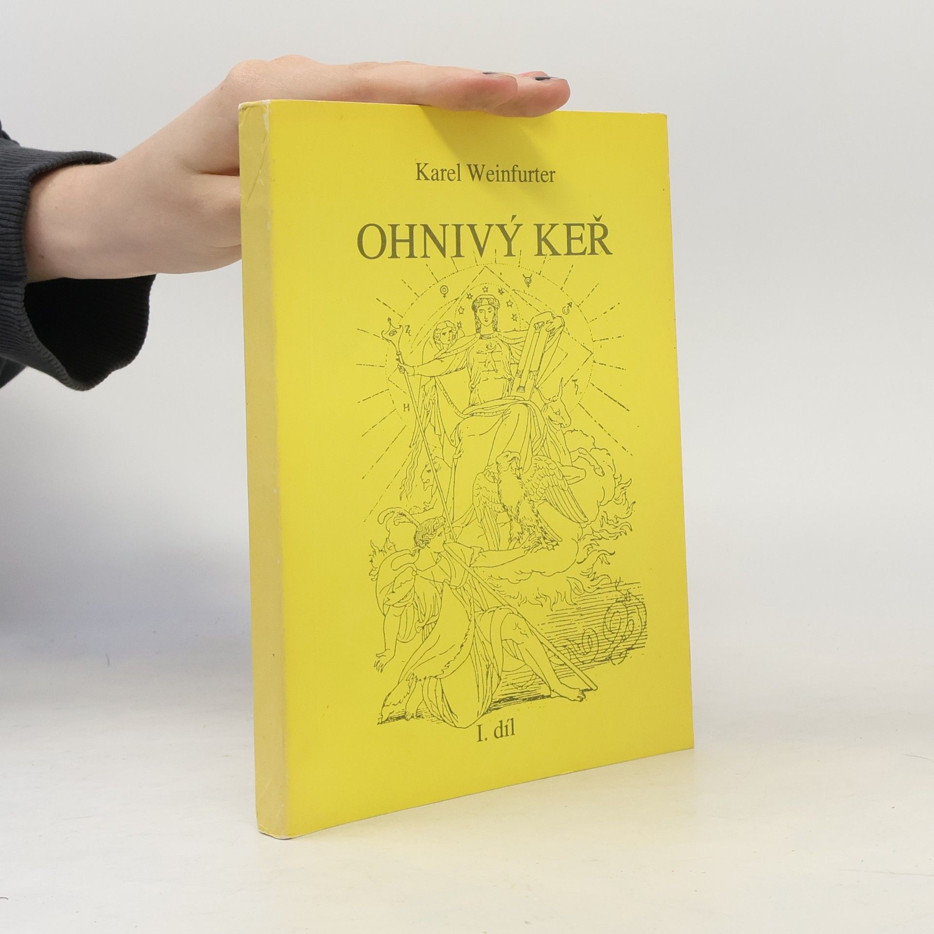 Karel Weinfurter Ohnivý keř. Odhalená cesta mystická. 1. díl