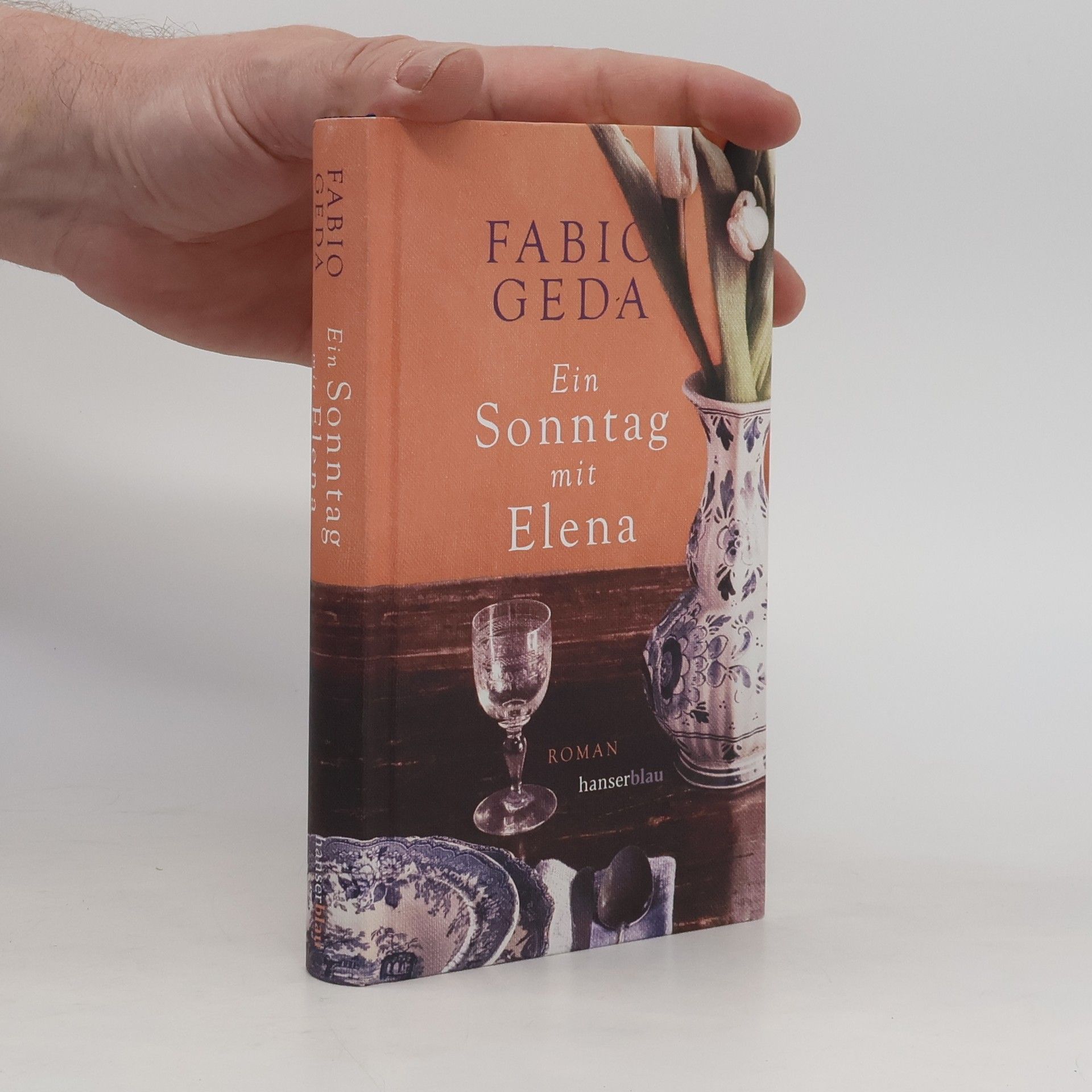 Fabio Geda Ein Sonntag mit Elena