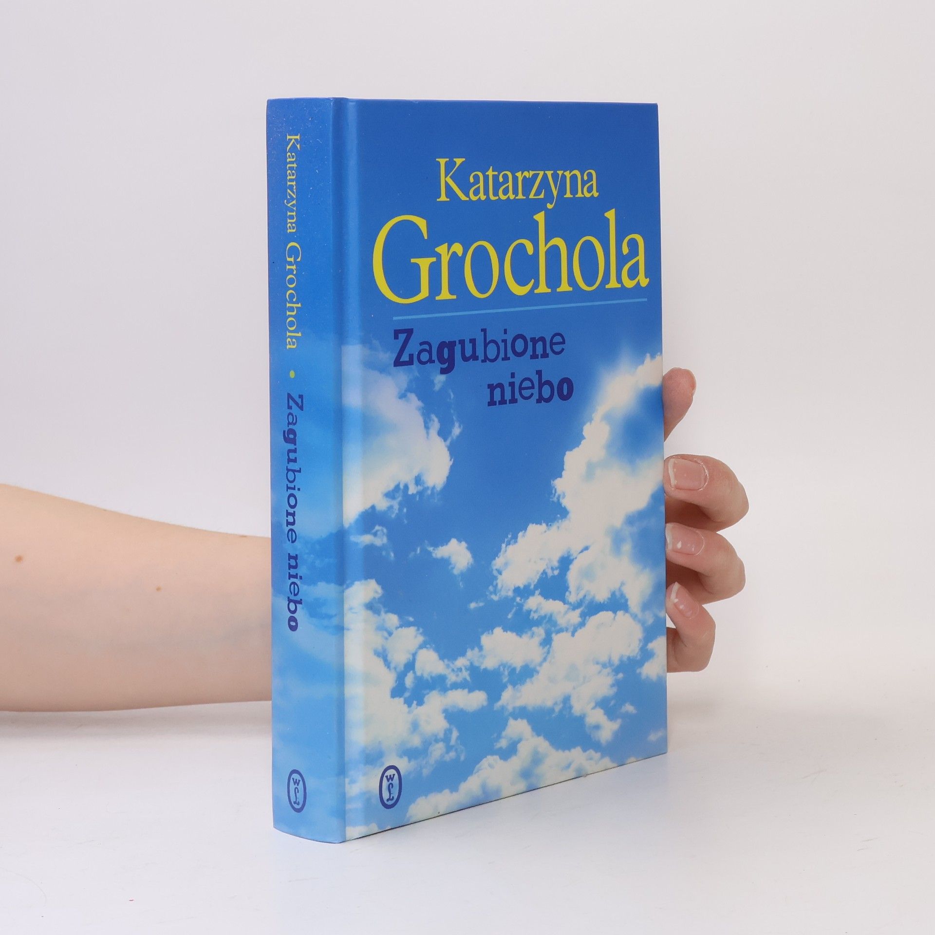 Katarzyna Grochola Zagubione niebo