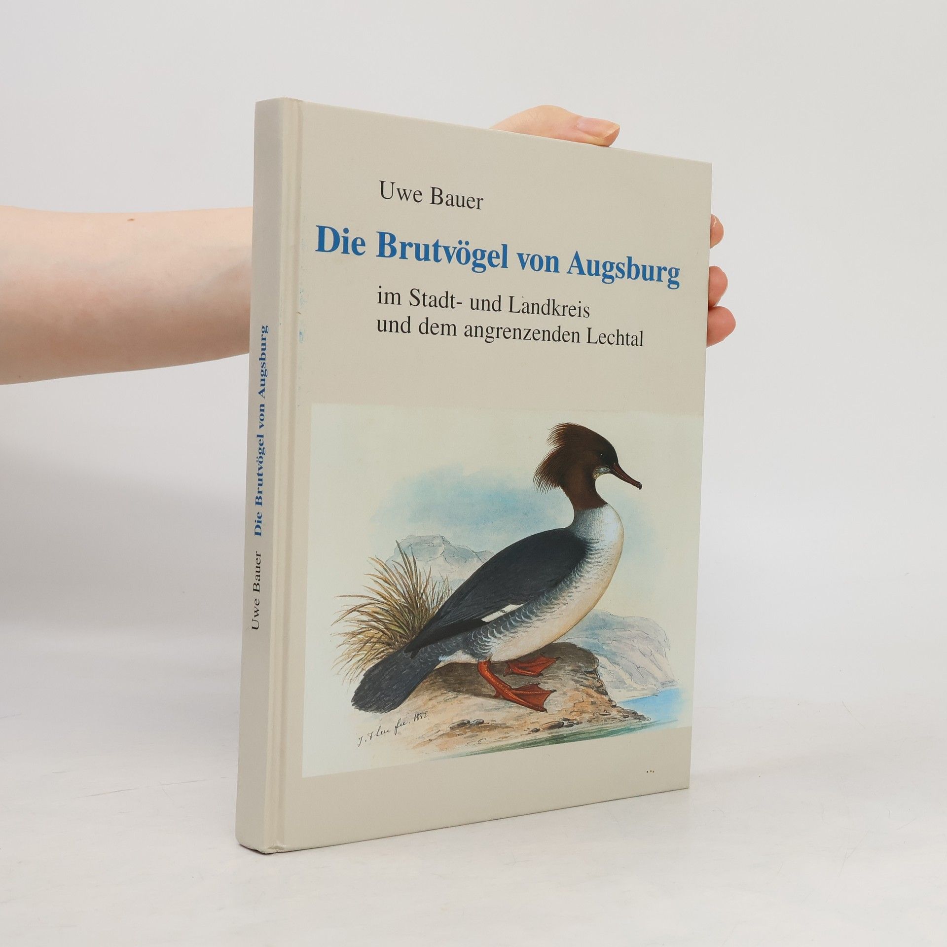 Kai-Uwe Bauer Die Brutvögel von Augsburg