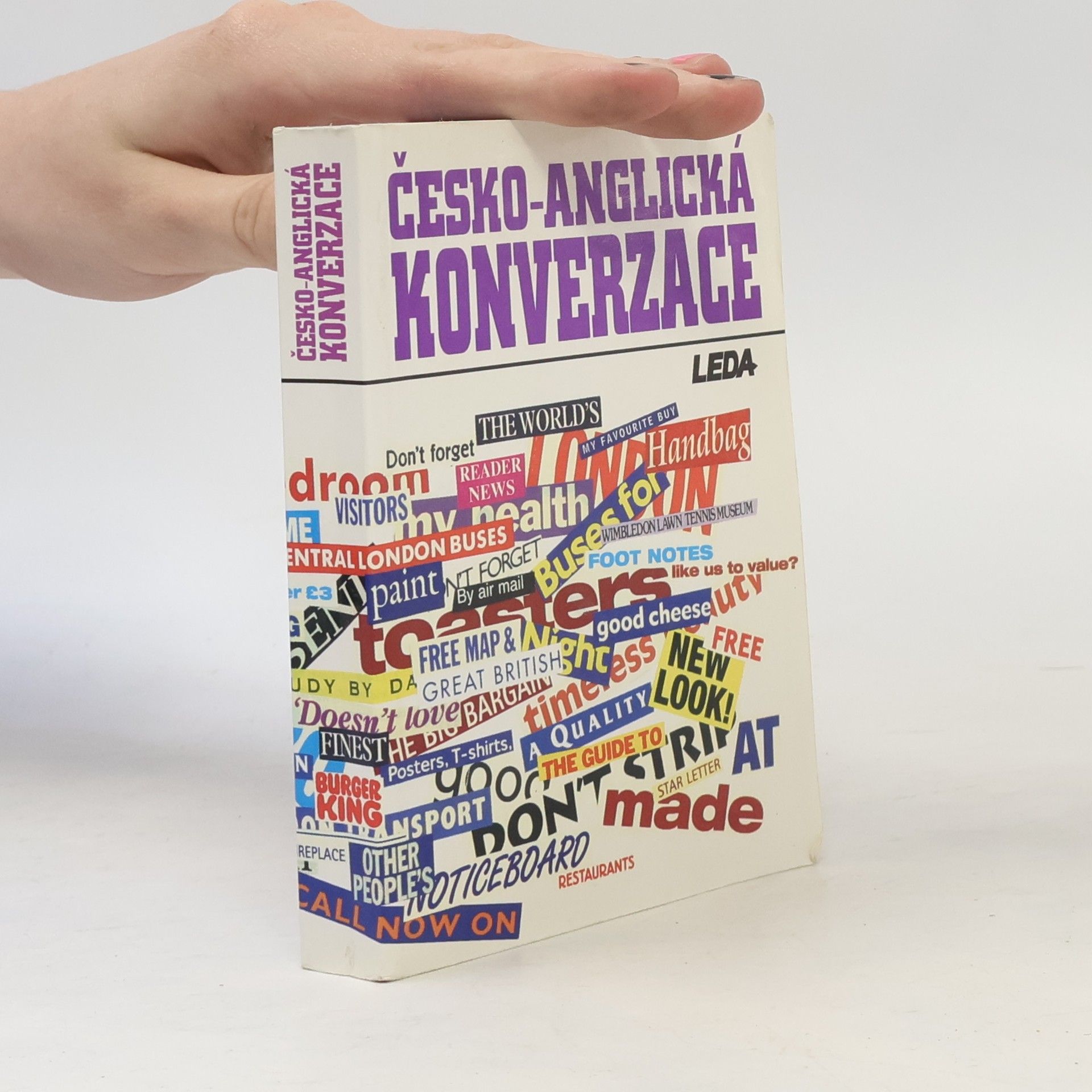 Ludmila Kollmannová Česko-anglická konverzace