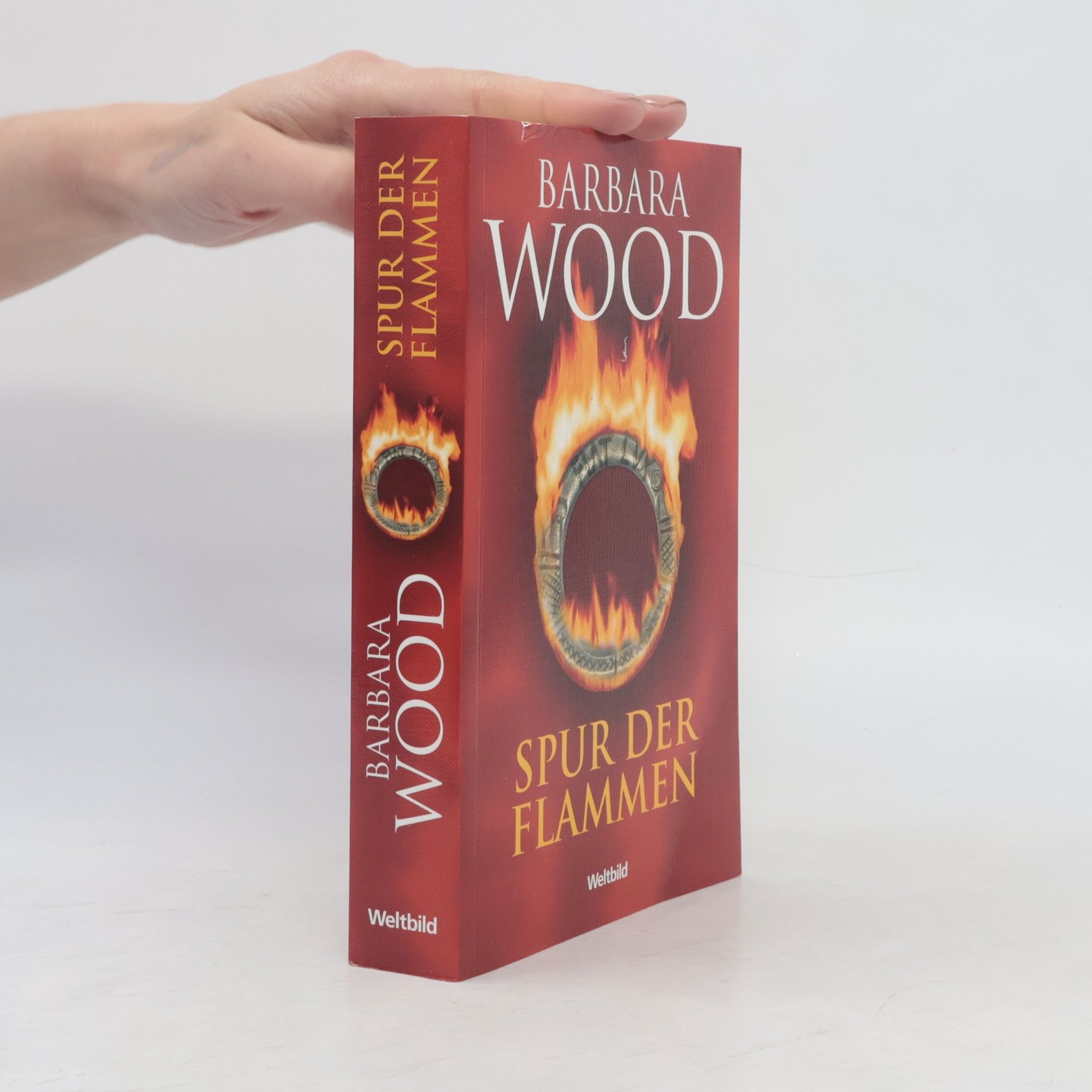 Barbara Wood Spur der Flammen