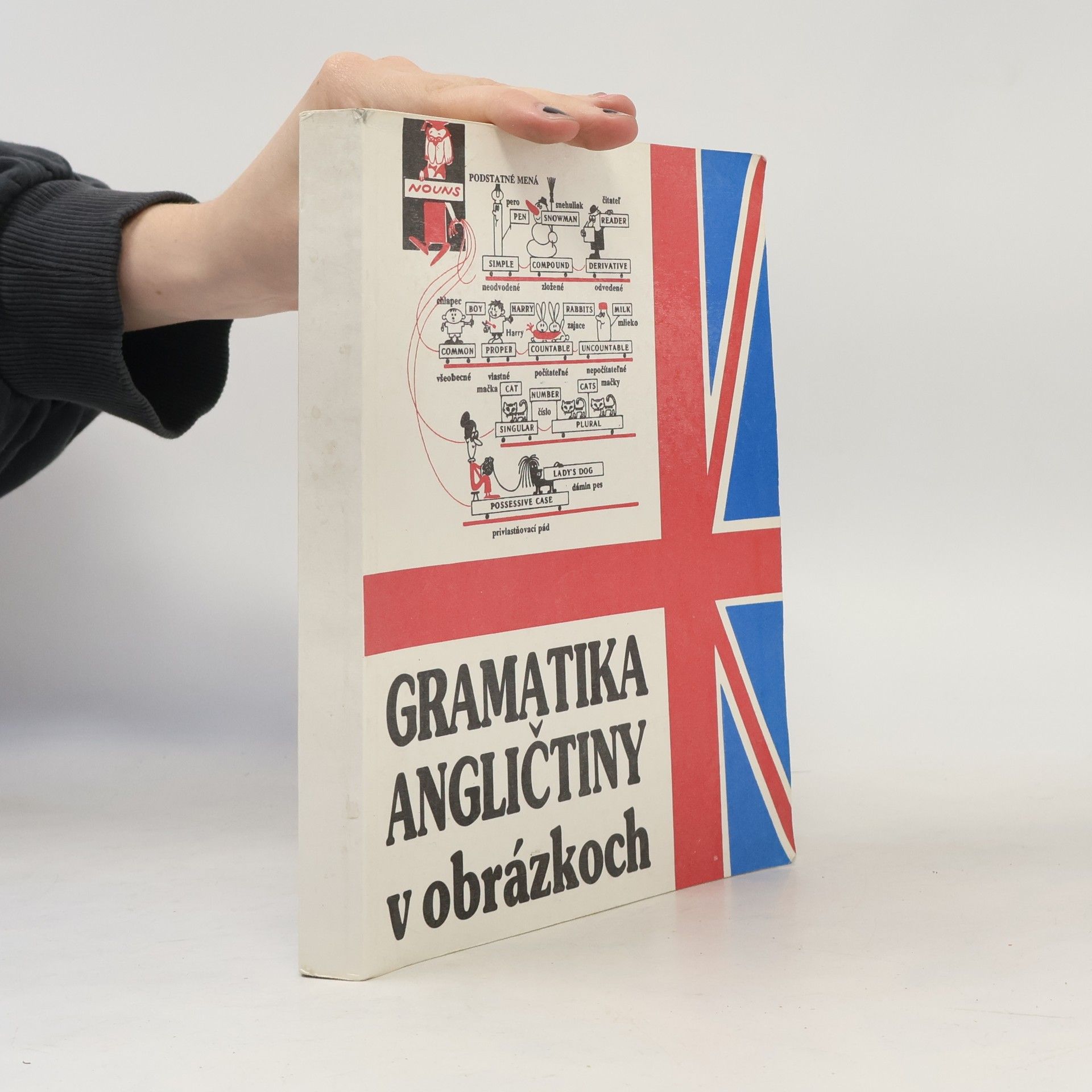Mark Isaakovič Dubrovin Gramatika angličtiny v obrázkoch