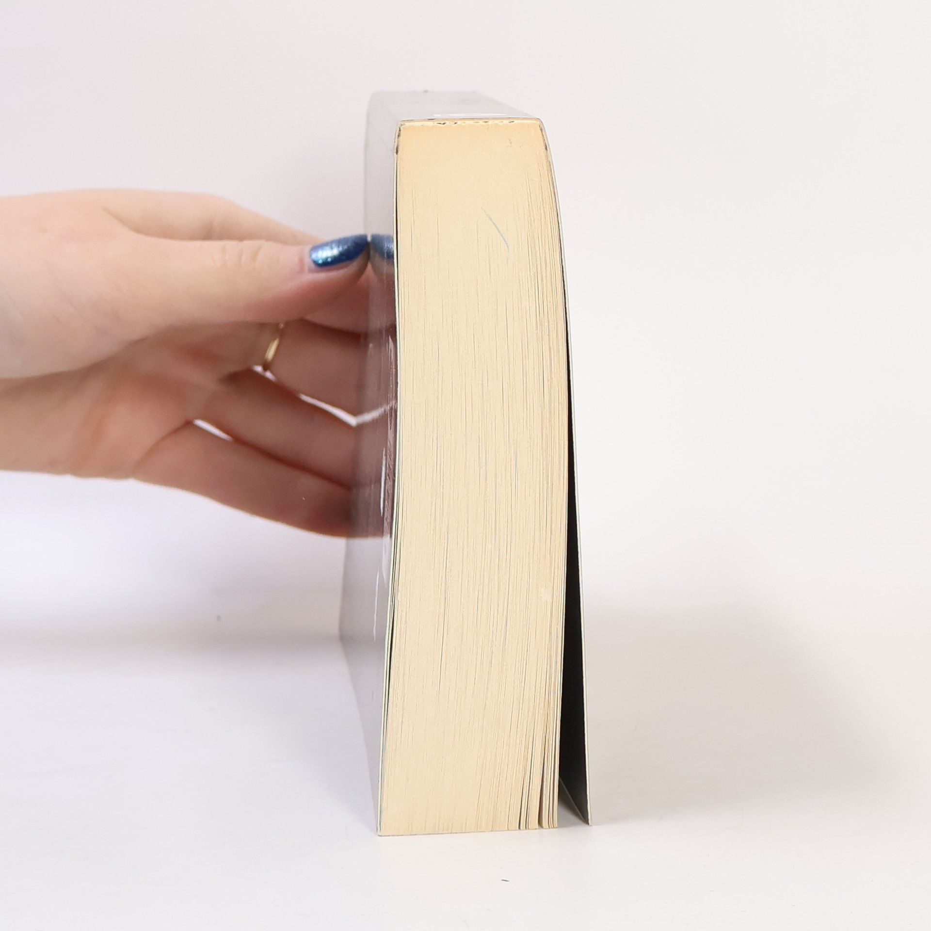 Richelle Mead Stříbrné stíny. Pokrevní pouta. 5. díl