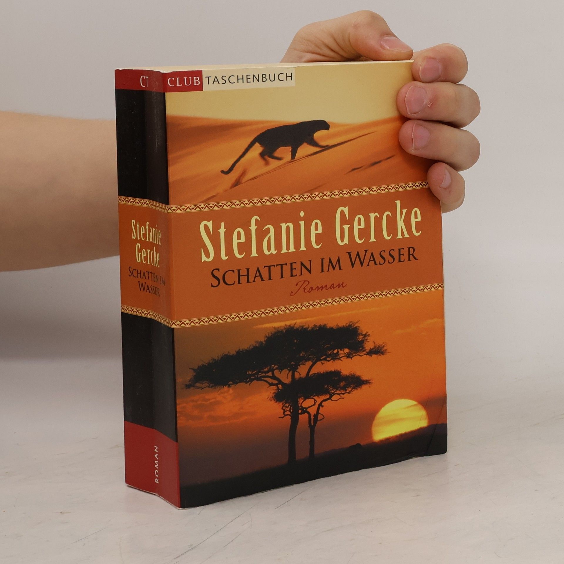 Stefanie Gercke Schatten im Wasser