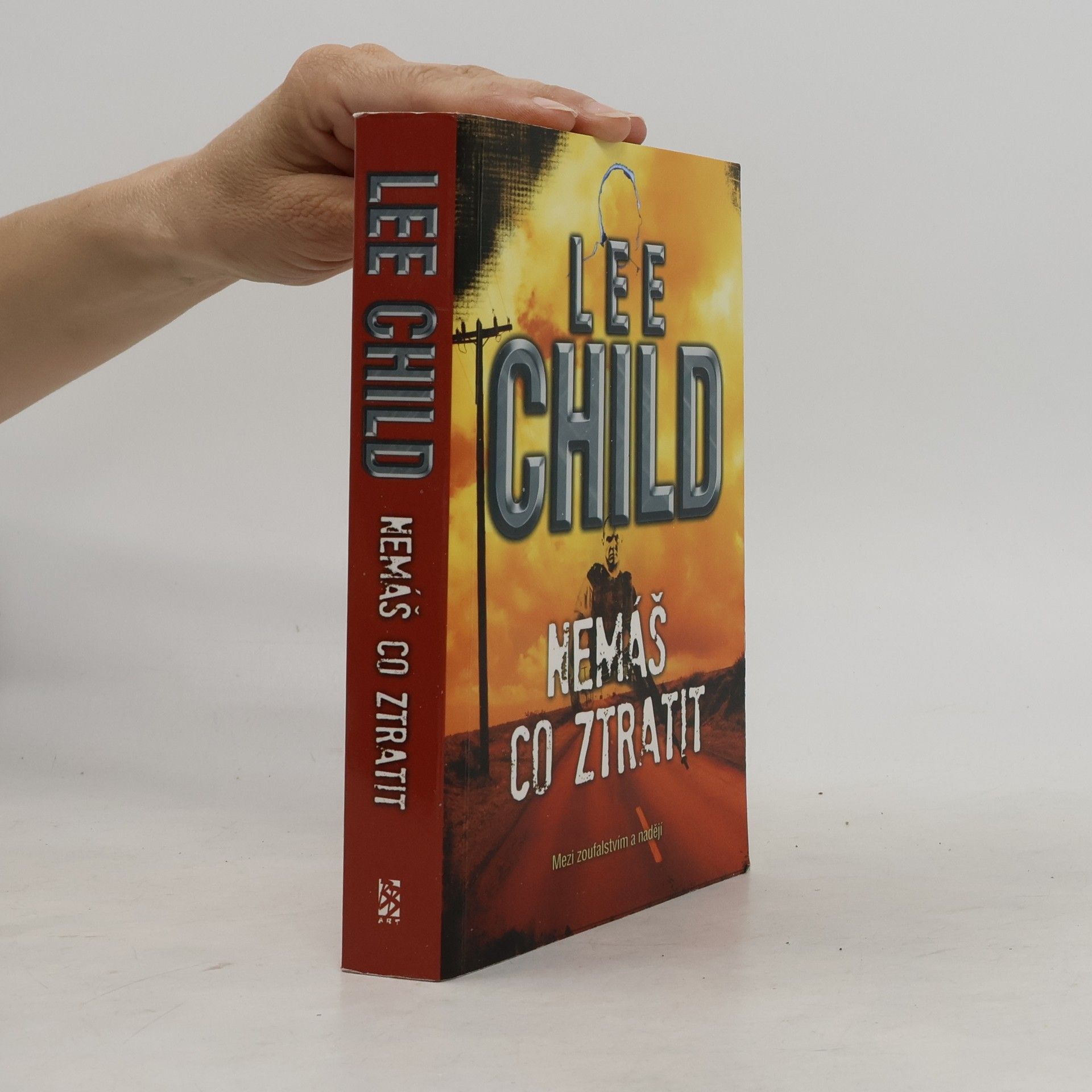 Lee Child Nemáš co ztratit