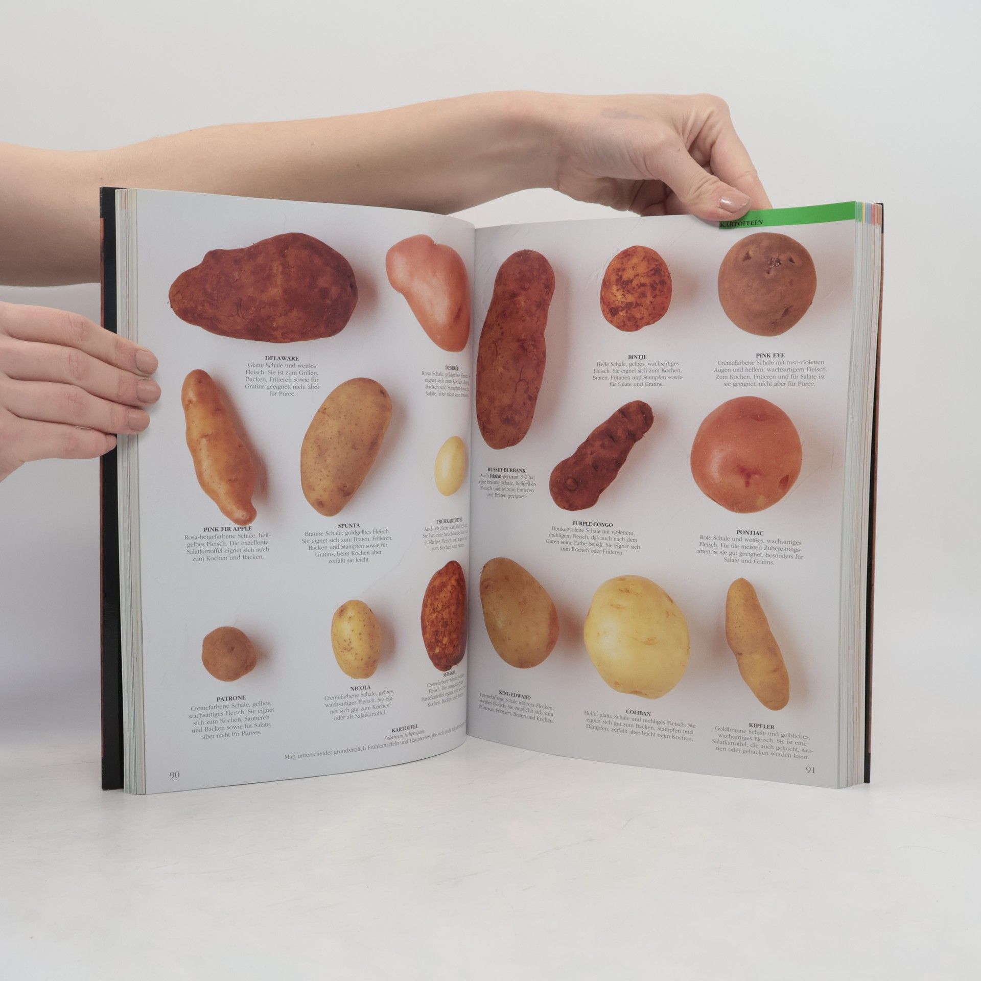 Loukie Werle Das große Buch der Zutaten