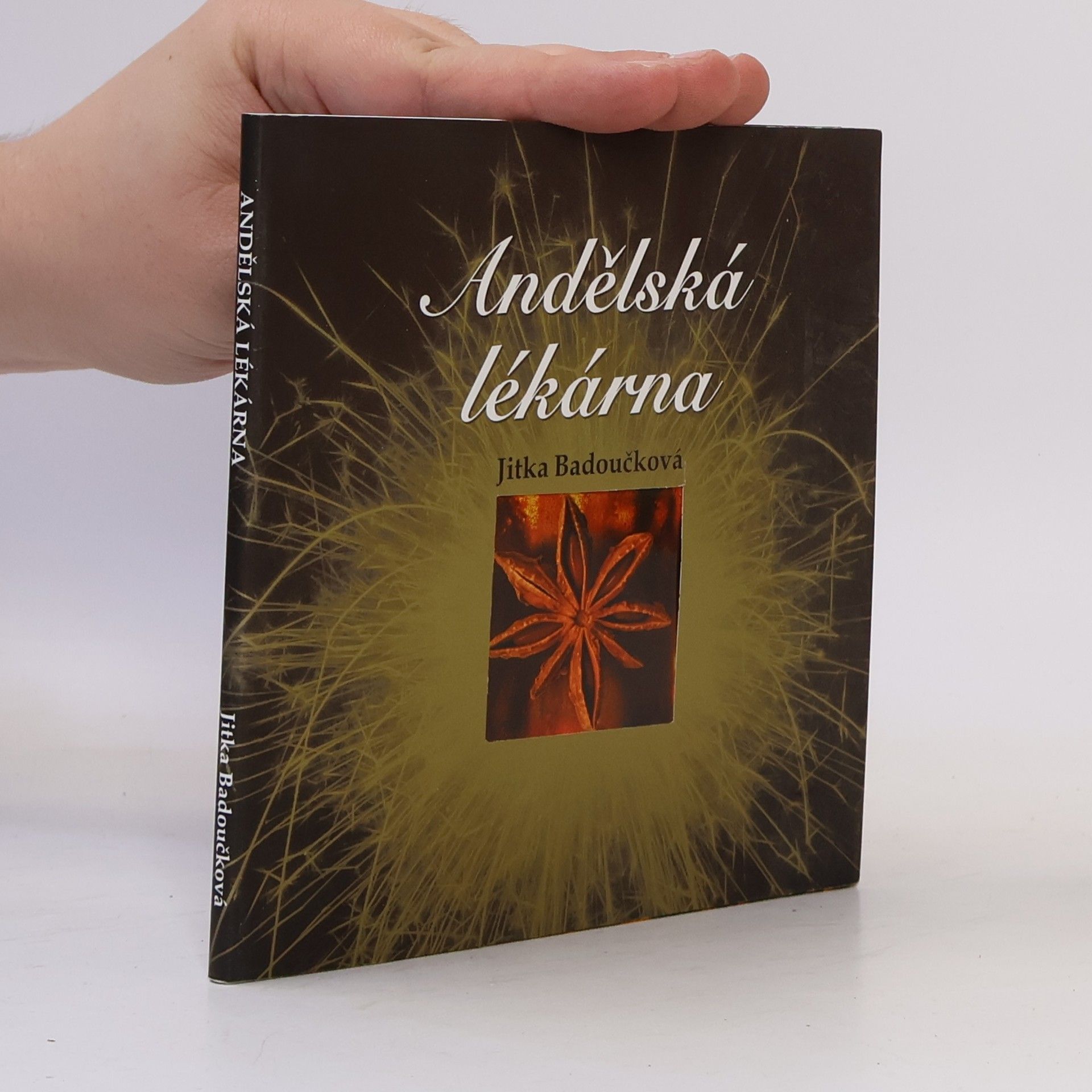 Aleš Orlík Andělská lékárna