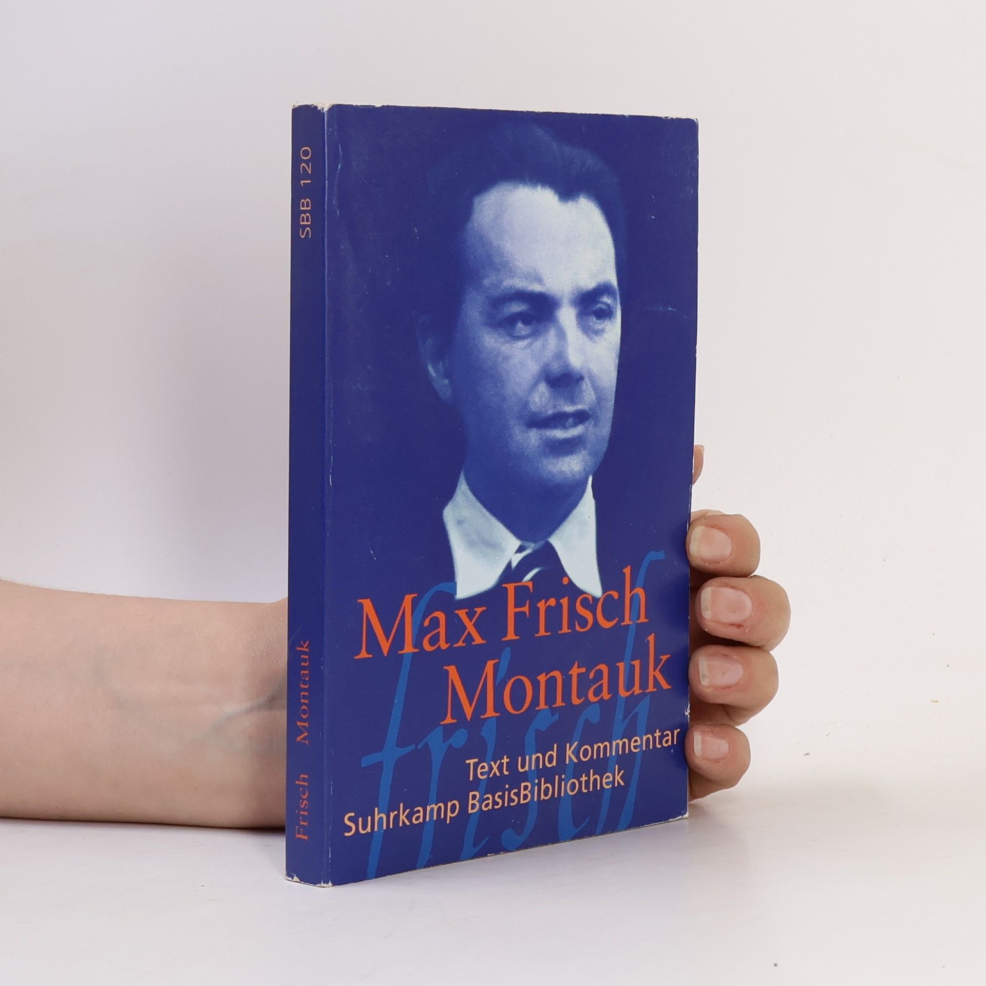 Max Frisch Montauk