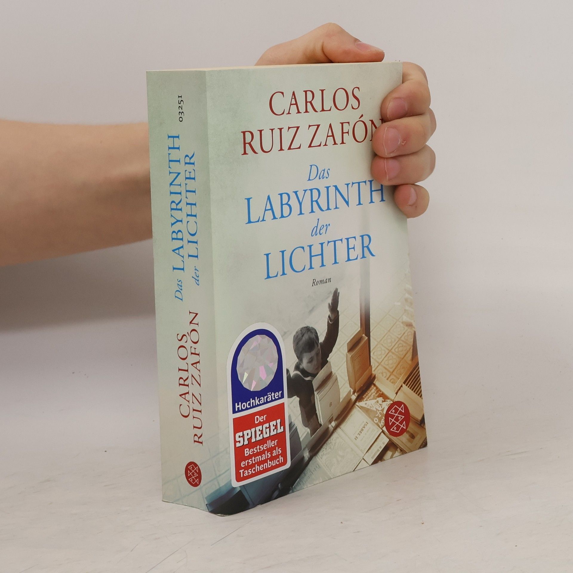 Carlos Ruiz Safon Das Labyrinth der Lichter