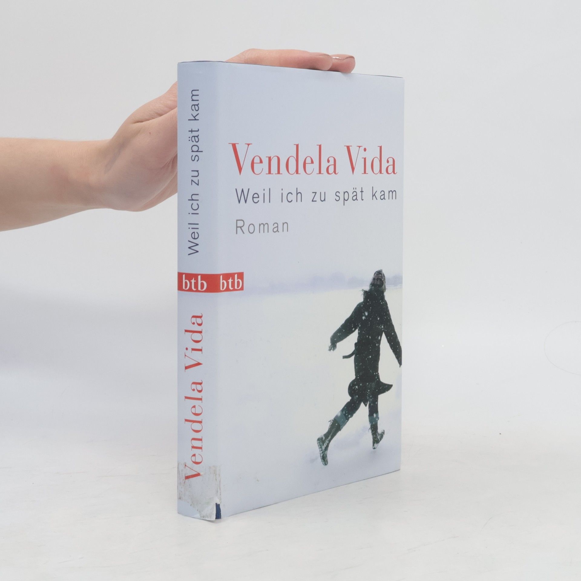 Vendela Vida Weil ich zu spät kam