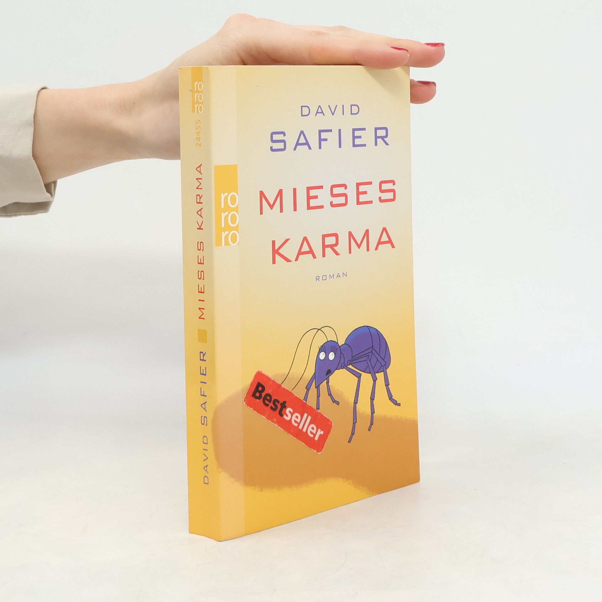 David Safier Mieses Karma