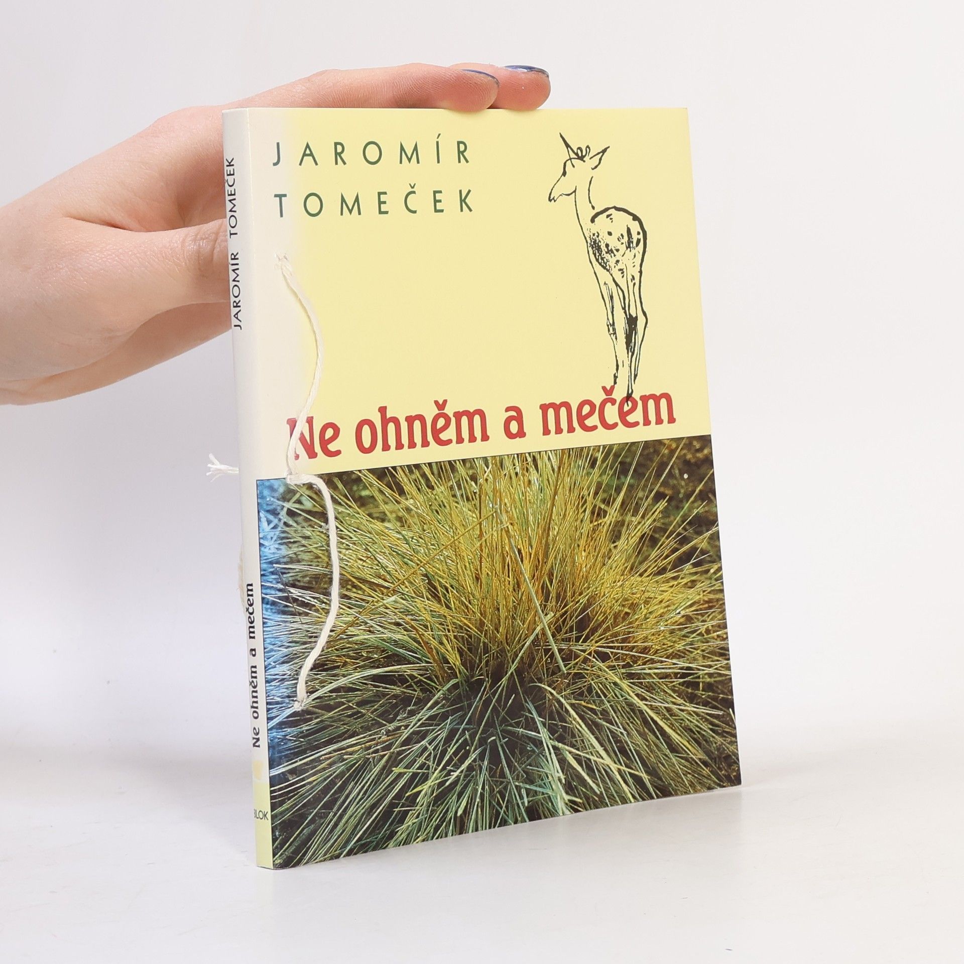 Jaromír Tomeček Ne ohněm a mečem