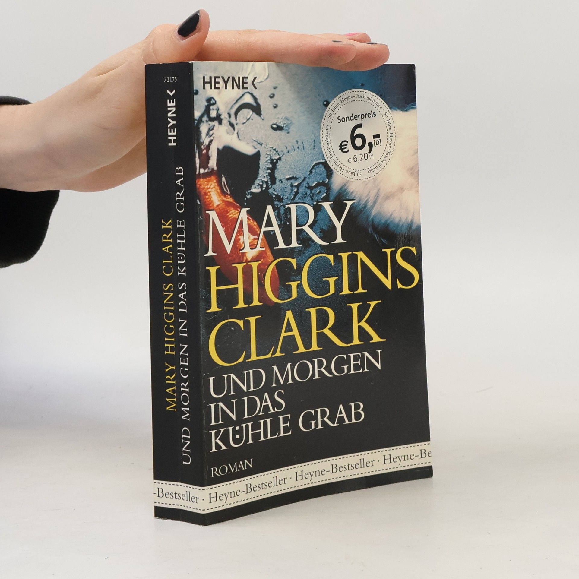 Mary Higginsová Clarková Und morgen in has kühle Grab