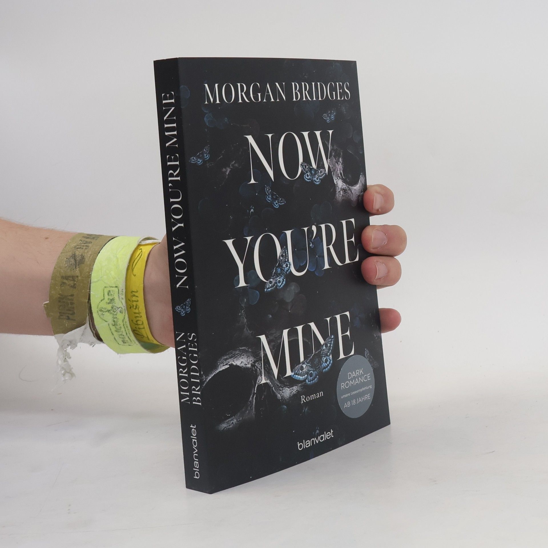 Morgan Bridges Now You're Mine