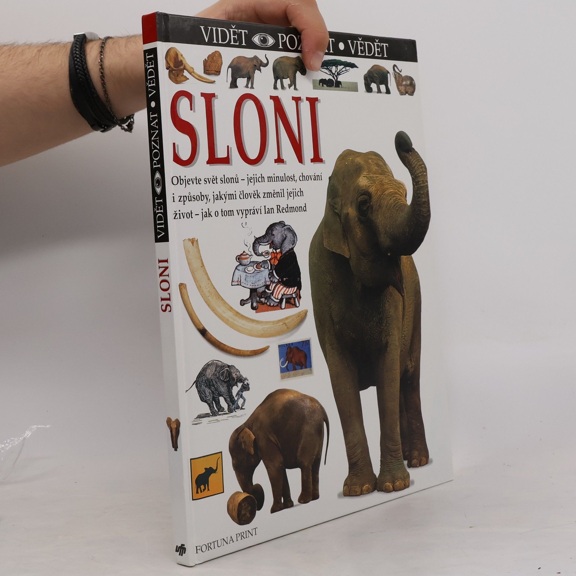 Ian Redmond Sloni