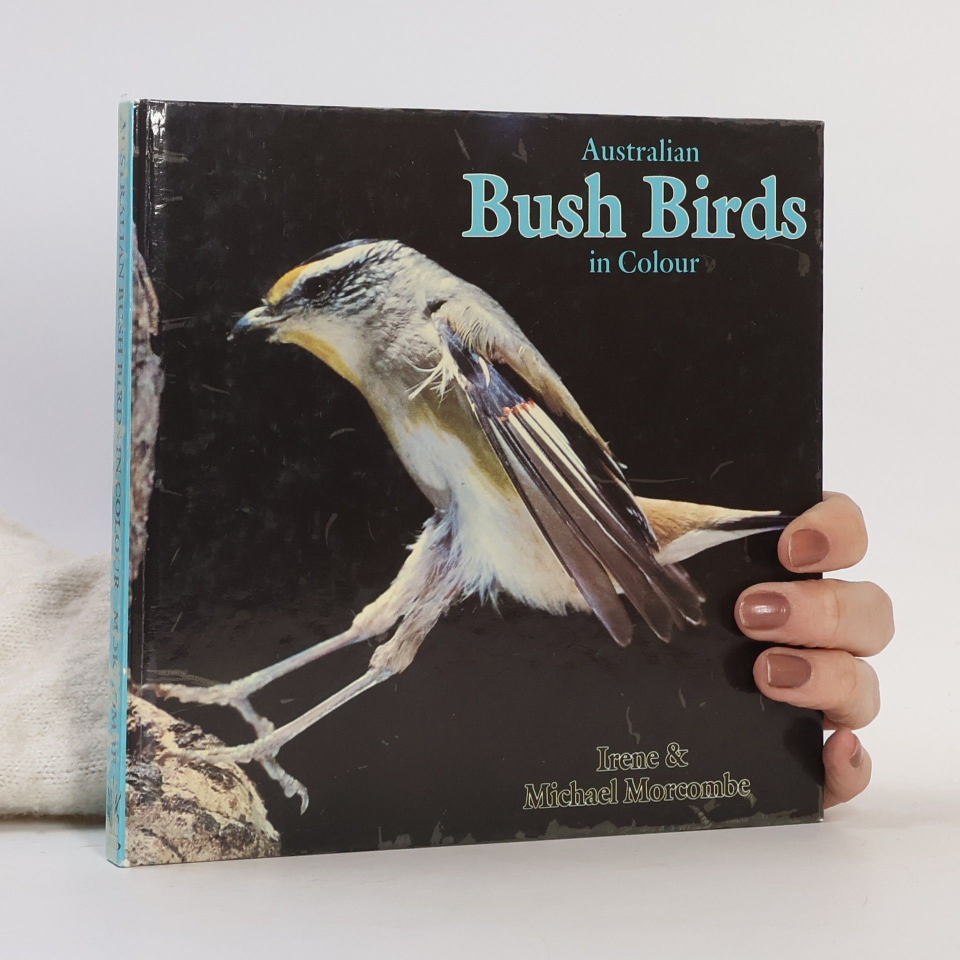 Irene Morcombe Australian Bush Birds in Colour