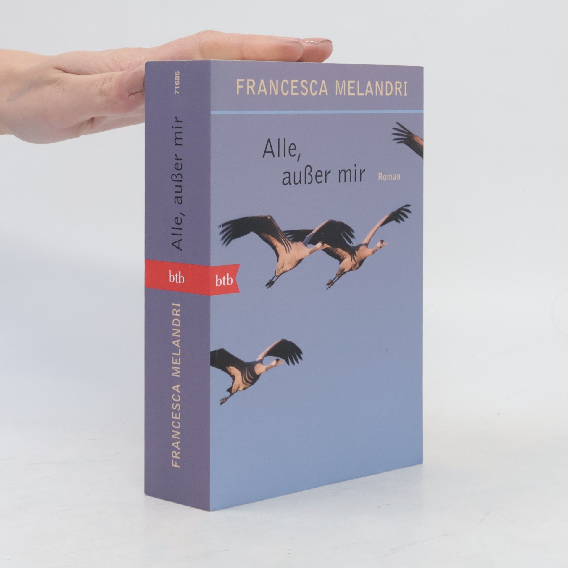 Francesca Melandri Alle, außer mir