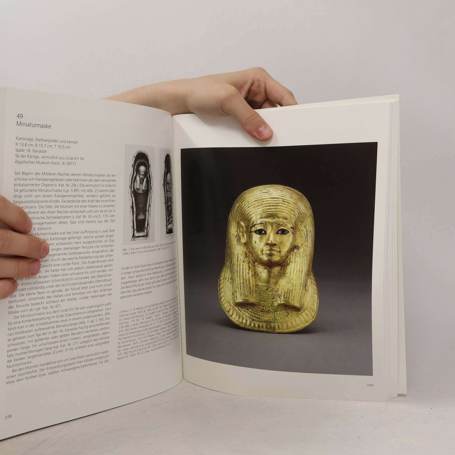 Andre B. Wiese Tutanchamun - das goldene Jenseits