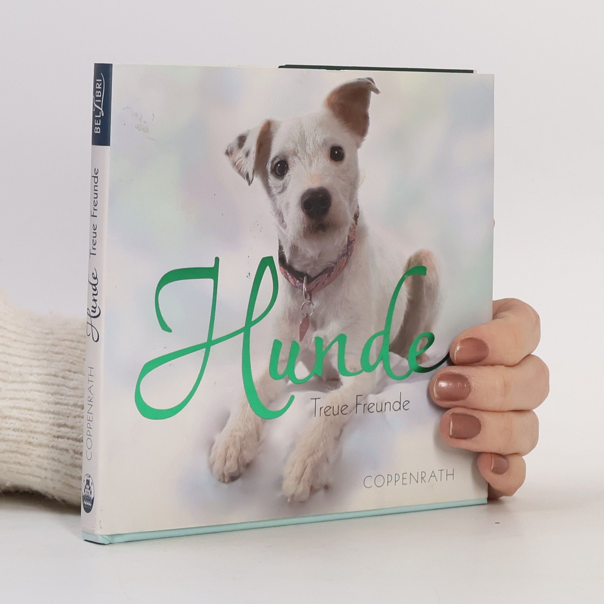 Kai König Hunde - treue Freunde